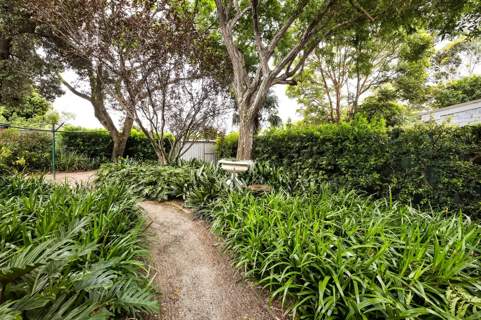 32 Foord Avenue, Hurlstone Park - Thumbnail 8