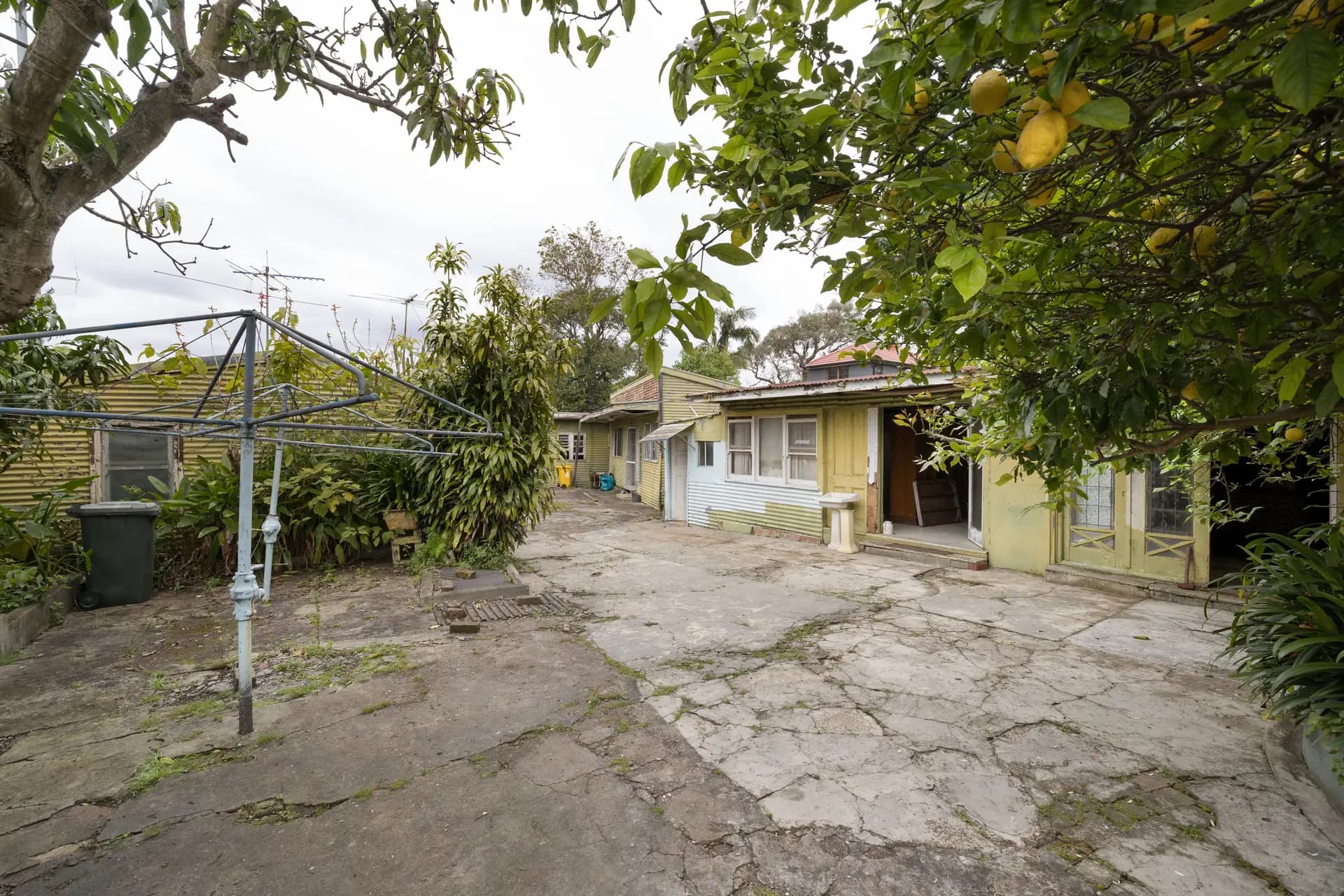 10 England Avenue, Marrickville - Thumbnail 6