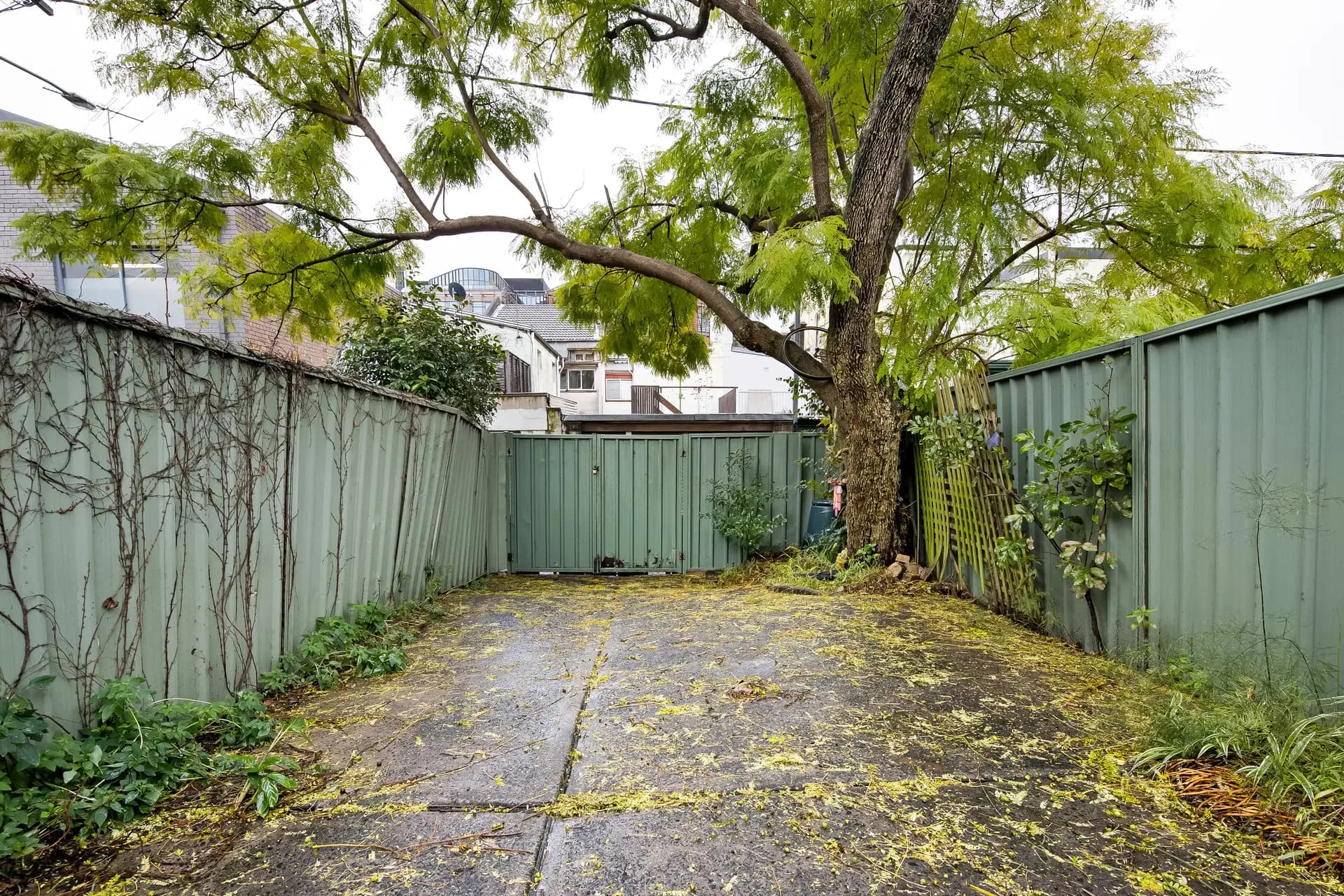 362 Wilson Street, Darlington - Thumbnail 8