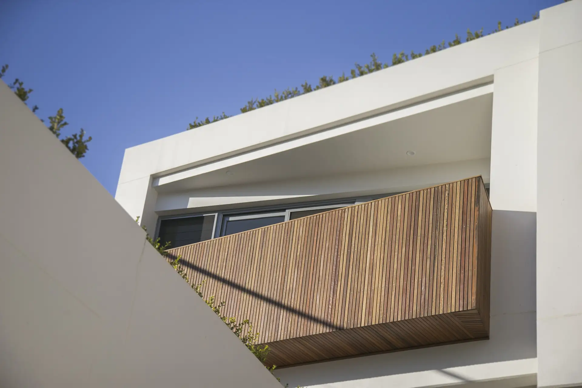 22A Wellington Road, Earlwood - Thumbnail 2