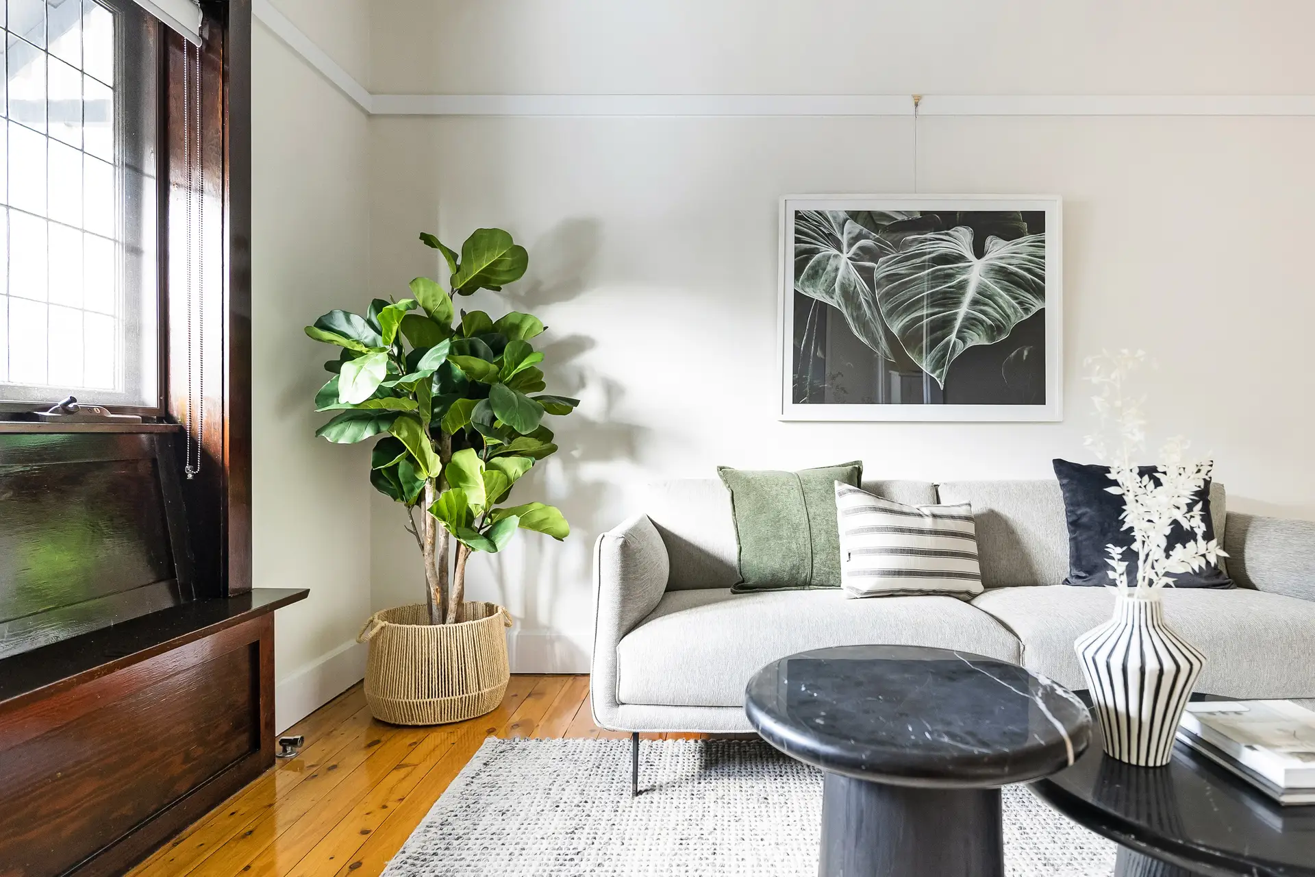 34 Finlays Avenue, Earlwood - Thumbnail 2
