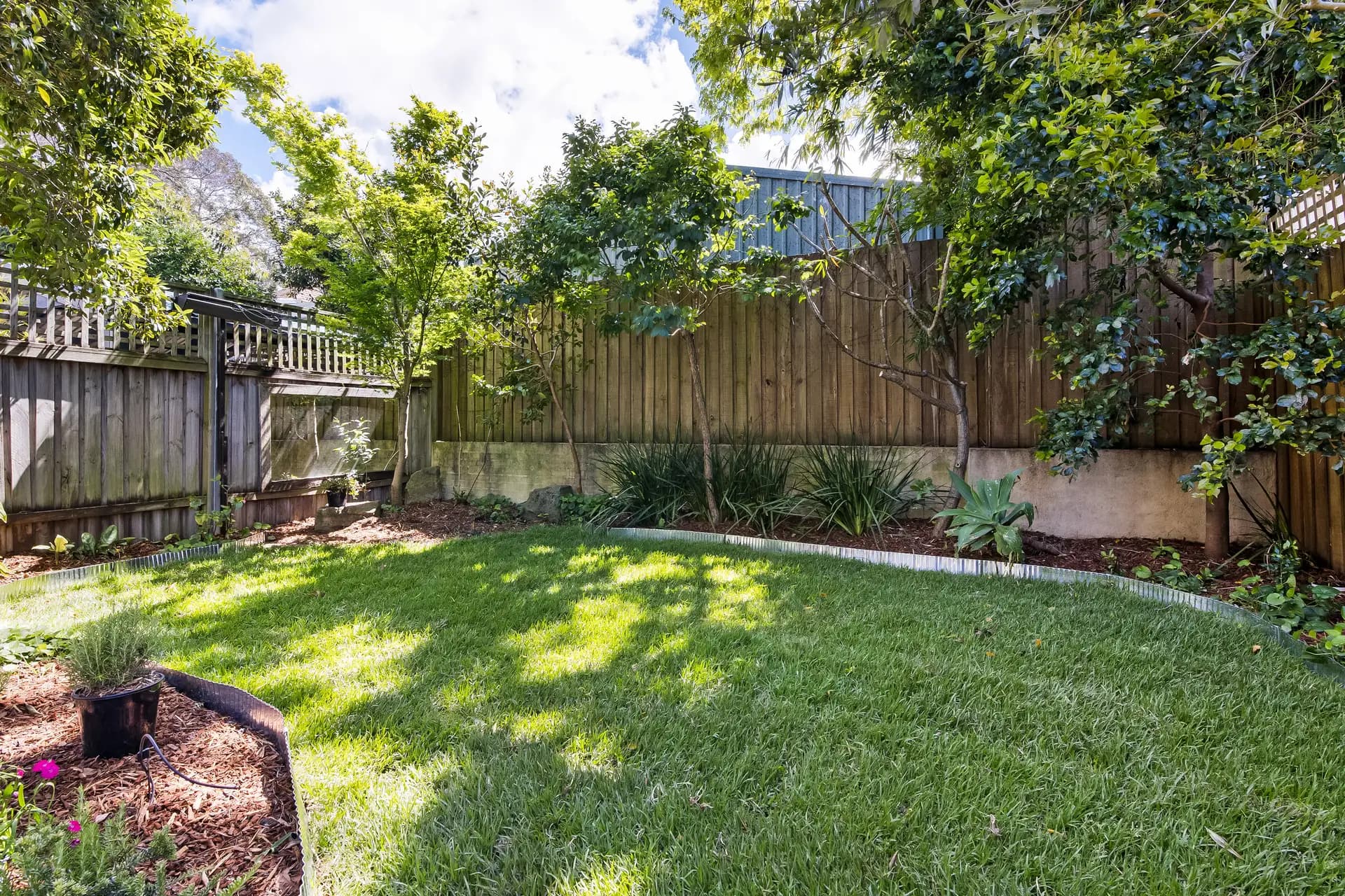 123 Warren Road, Marrickville - Thumbnail 6