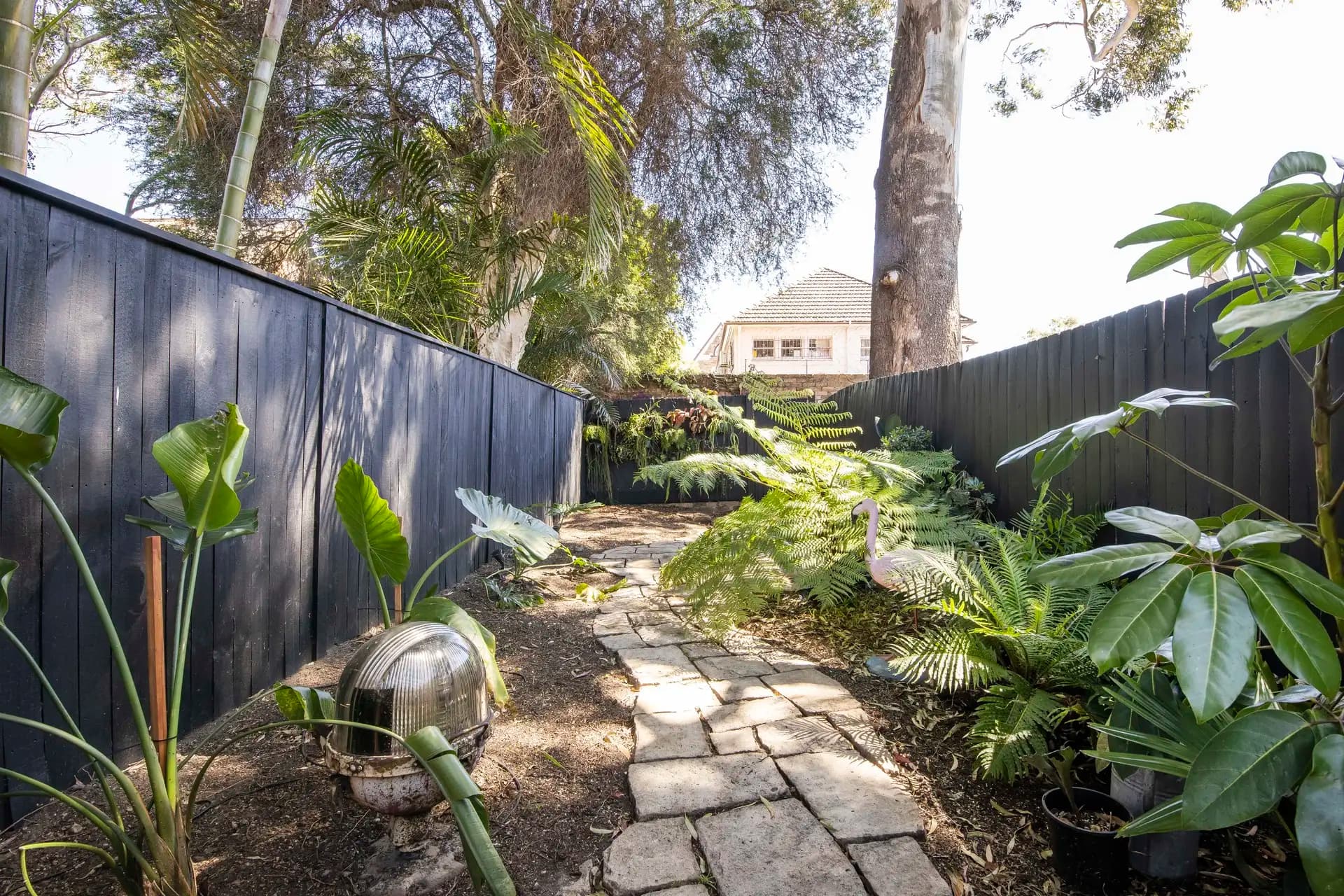 8 Hordern Street, Newtown - Thumbnail 2
