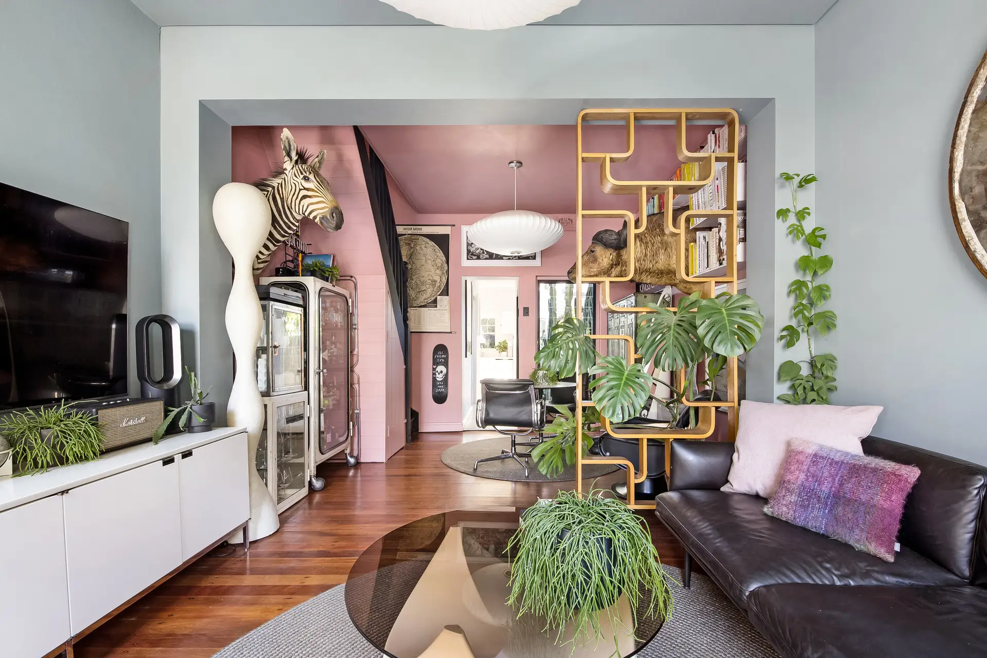 8 Hordern Street, Newtown - Thumbnail 6