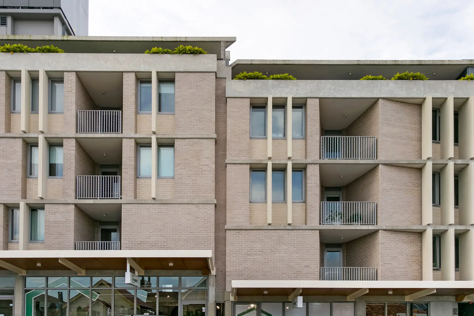 181/803 New Canterbury Road, Dulwich Hill - Image 1