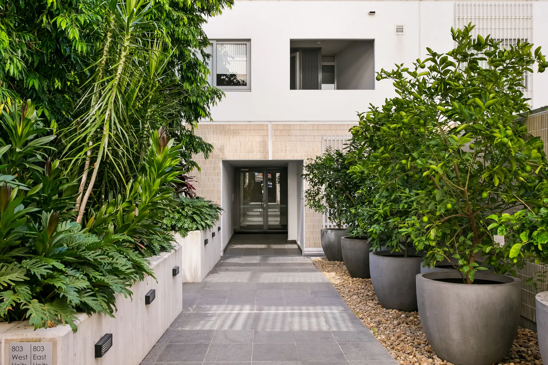 181/803 New Canterbury Road, Dulwich Hill - Thumbnail 2