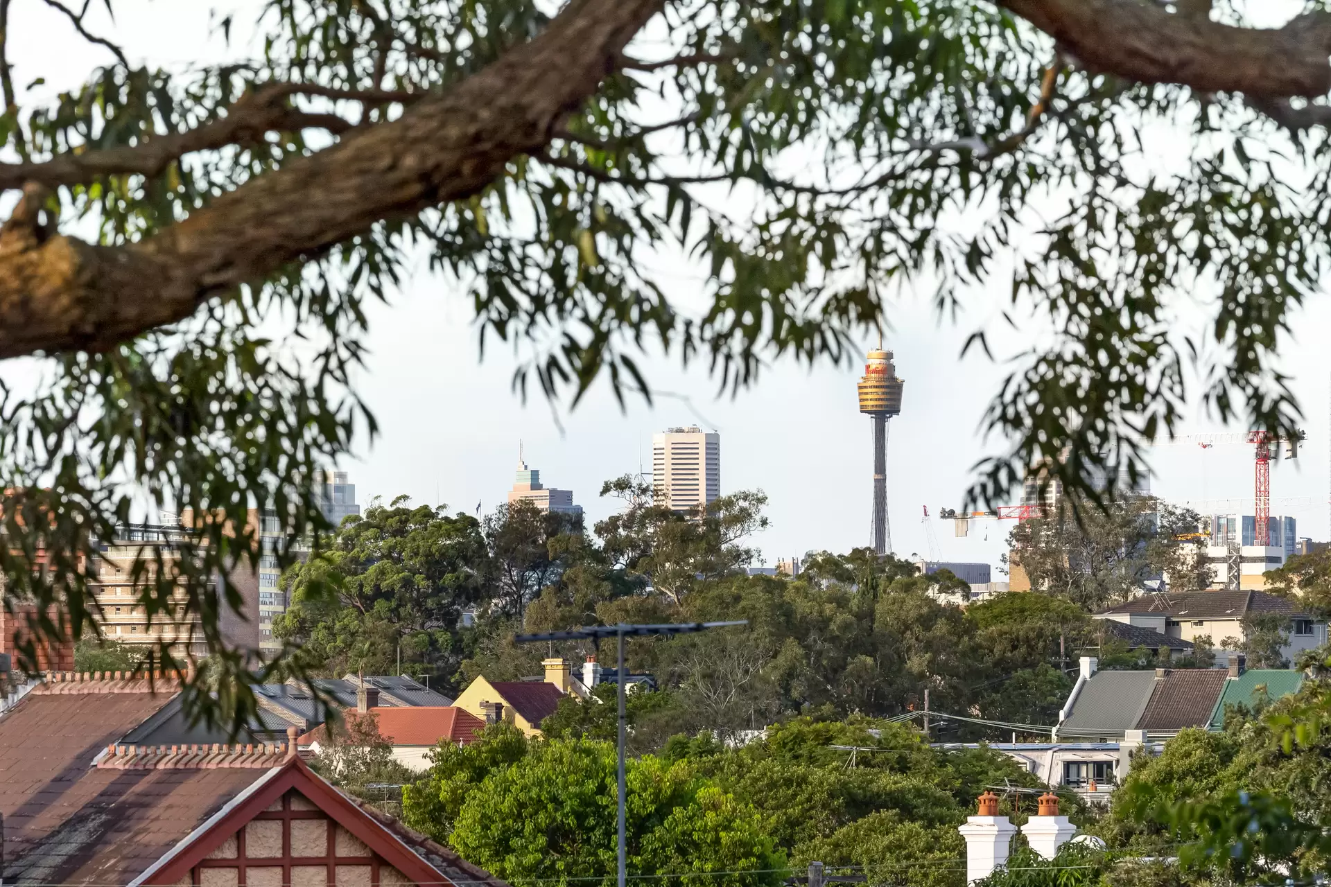 16/2-6 Liberty Street, Enmore - Thumbnail 6