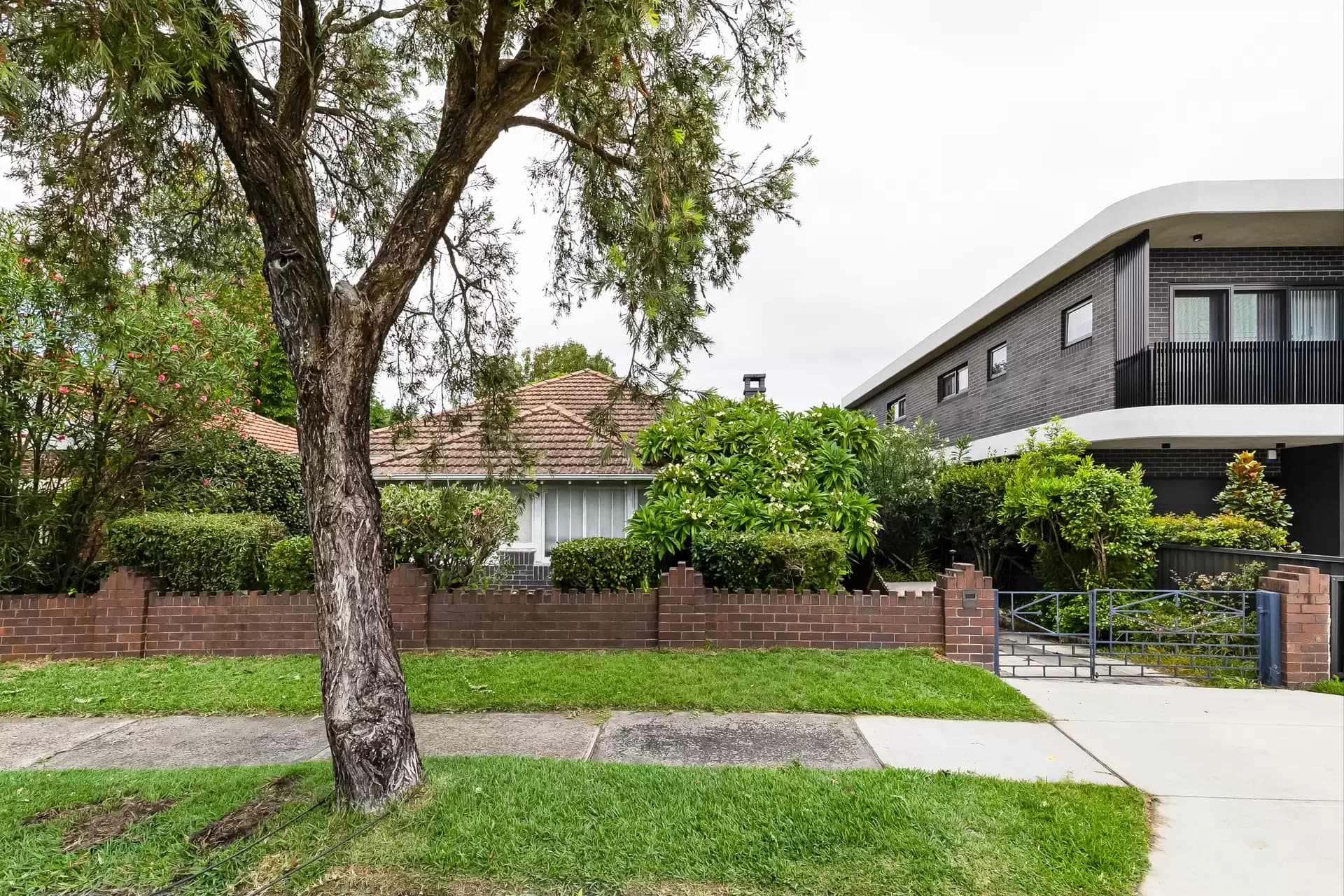 68 Minnamorra Avenue, Earlwood - Thumbnail 2