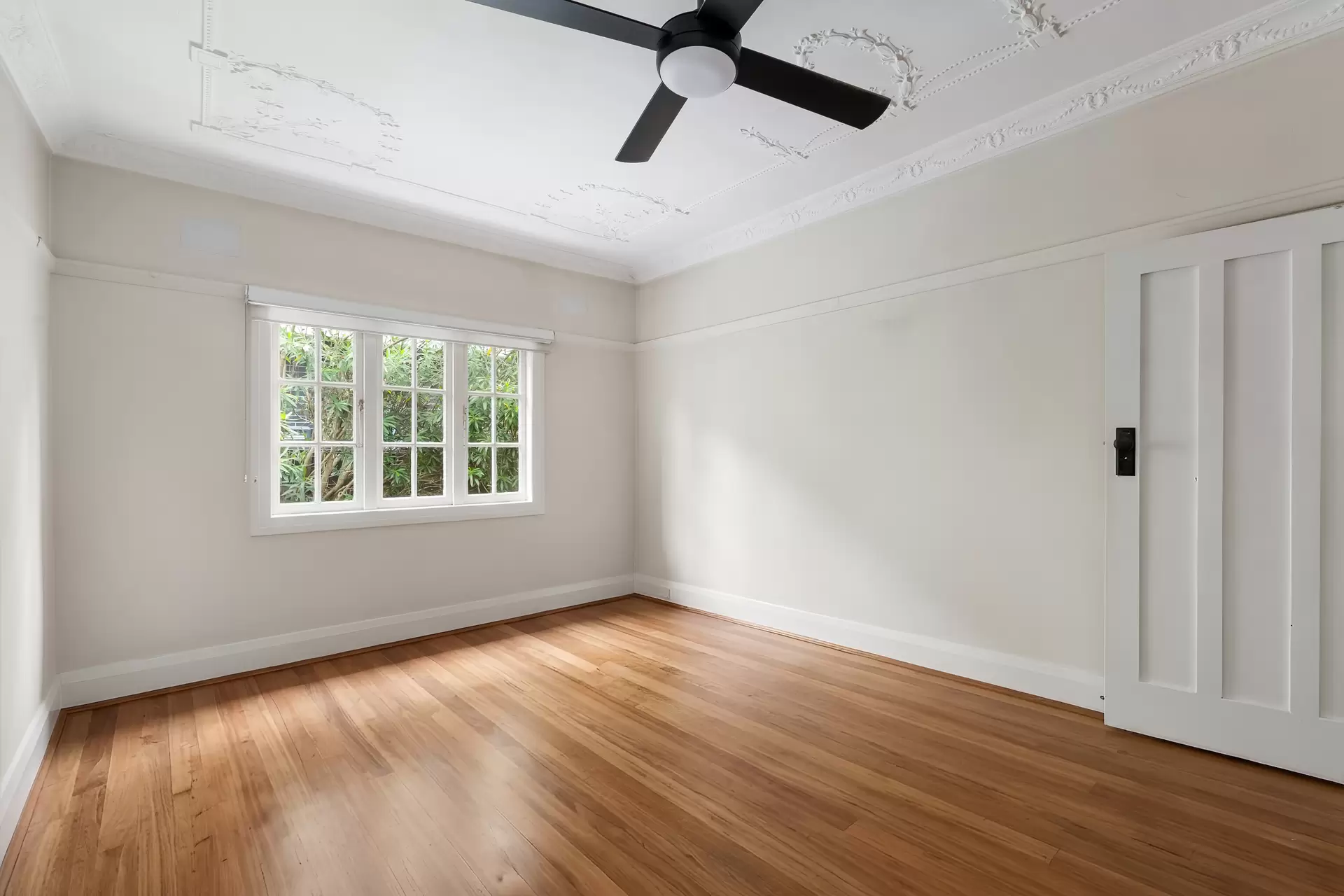 68 Minnamorra Avenue, Earlwood - Thumbnail 6