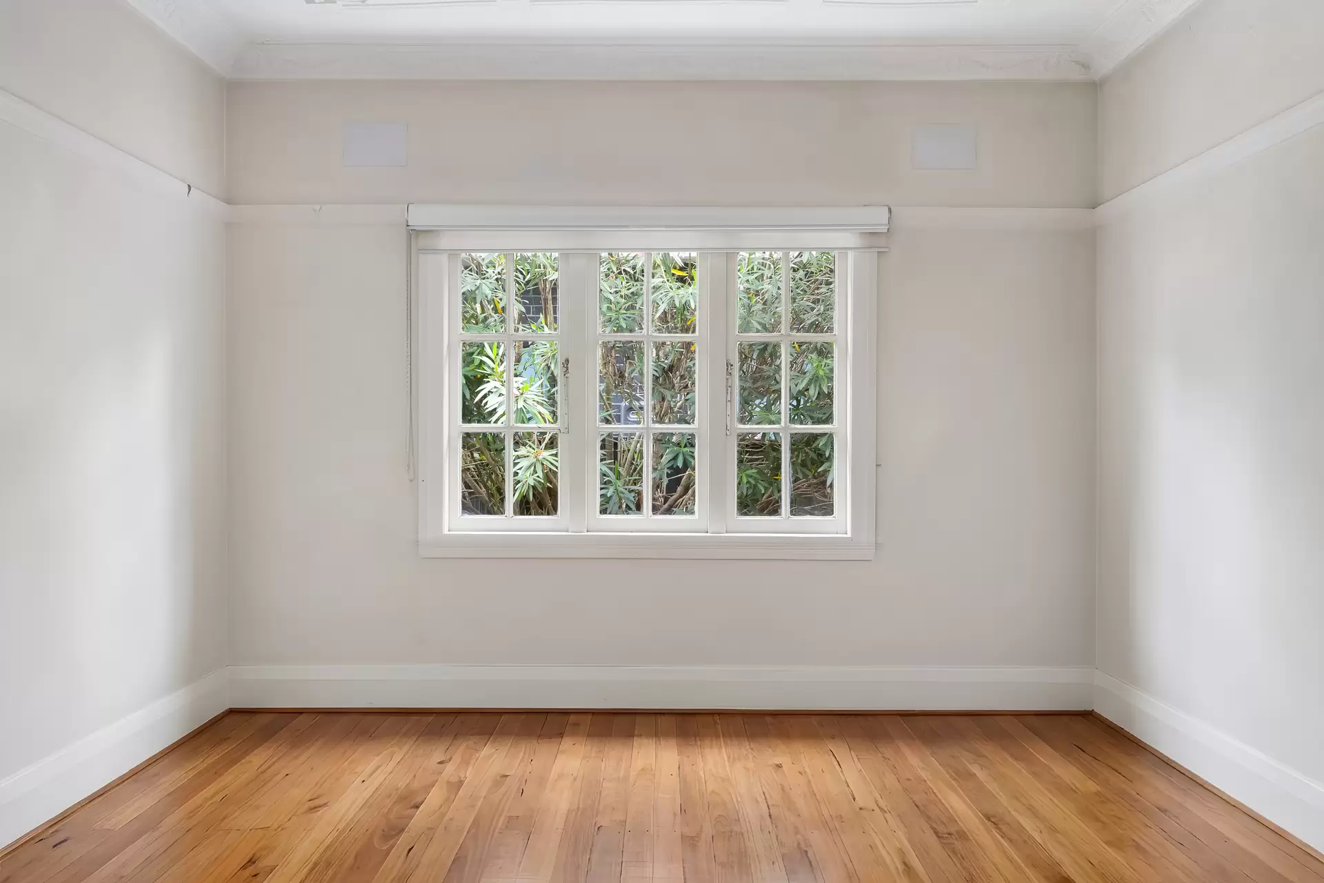 68 Minnamorra Avenue, Earlwood - Thumbnail 7