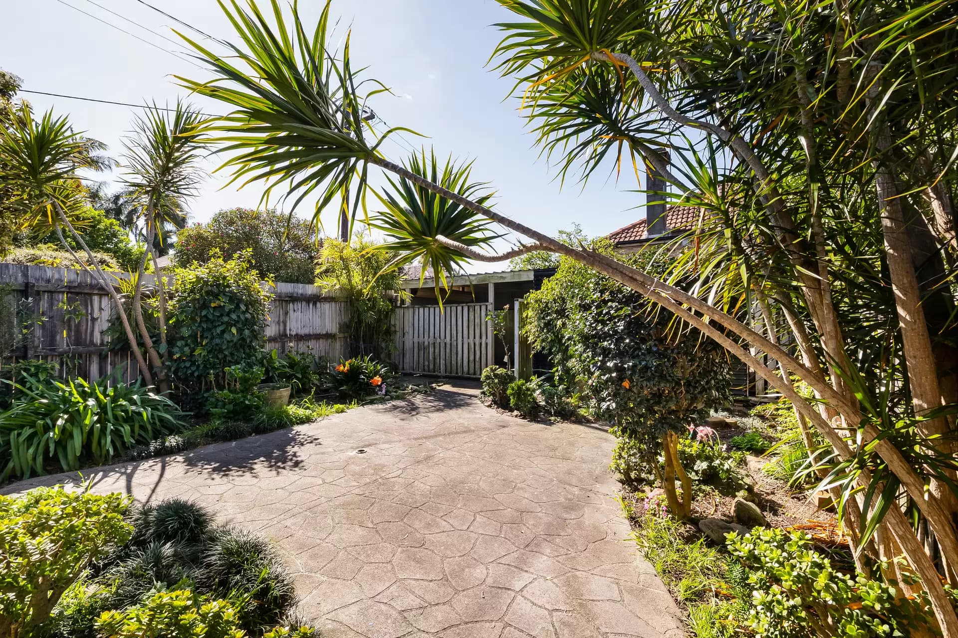 159 Addison Road, Marrickville - Thumbnail 6