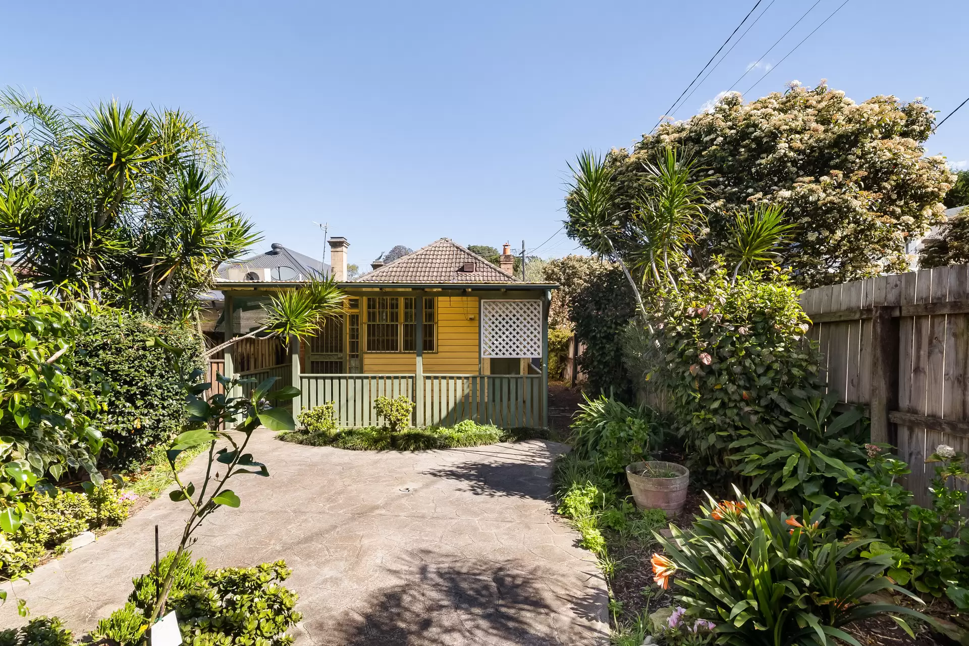 159 Addison Road, Marrickville - Thumbnail 7