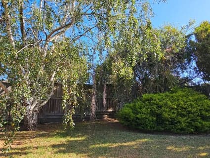 372 Settlement Road, Cowes - Thumbnail 7