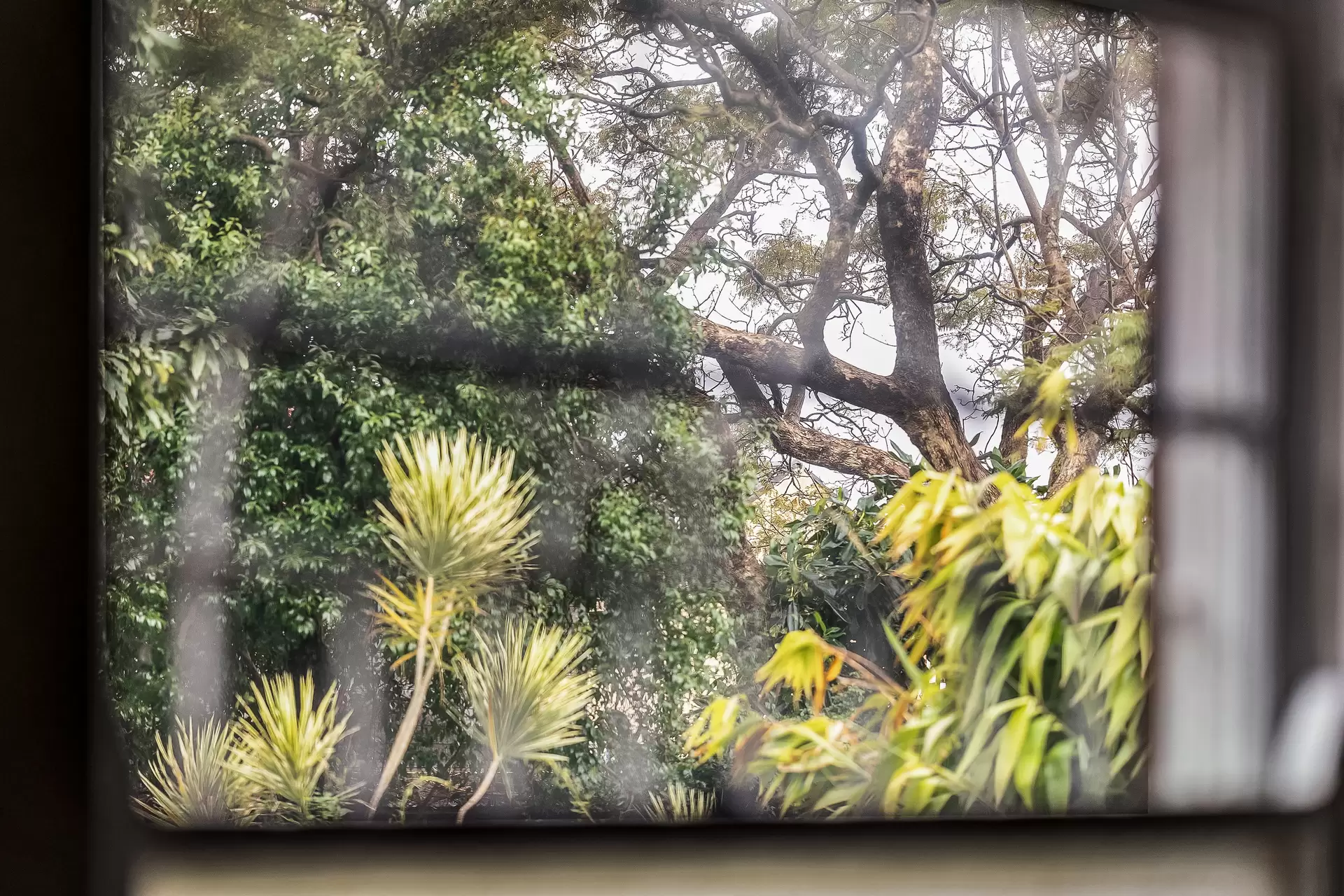 3/2A Yule Street, Dulwich Hill - Thumbnail 7