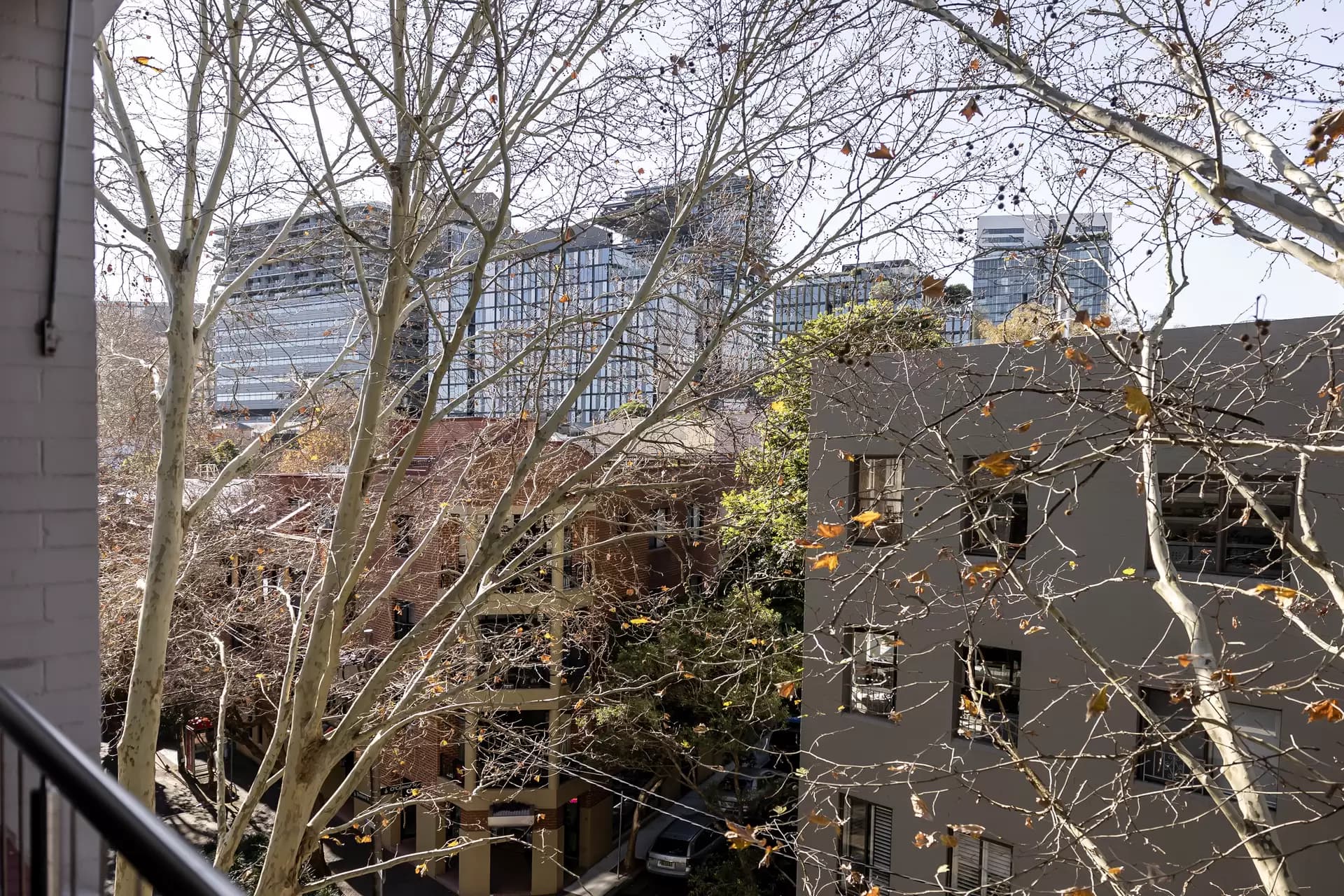 50/57-75 Buckland Street, Chippendale - Thumbnail 6