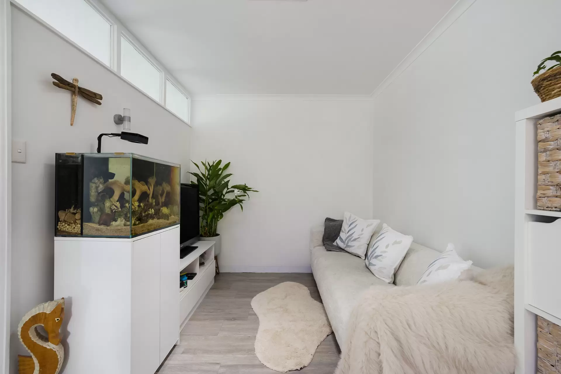 29/117 Denison Road, Dulwich Hill - Thumbnail 3