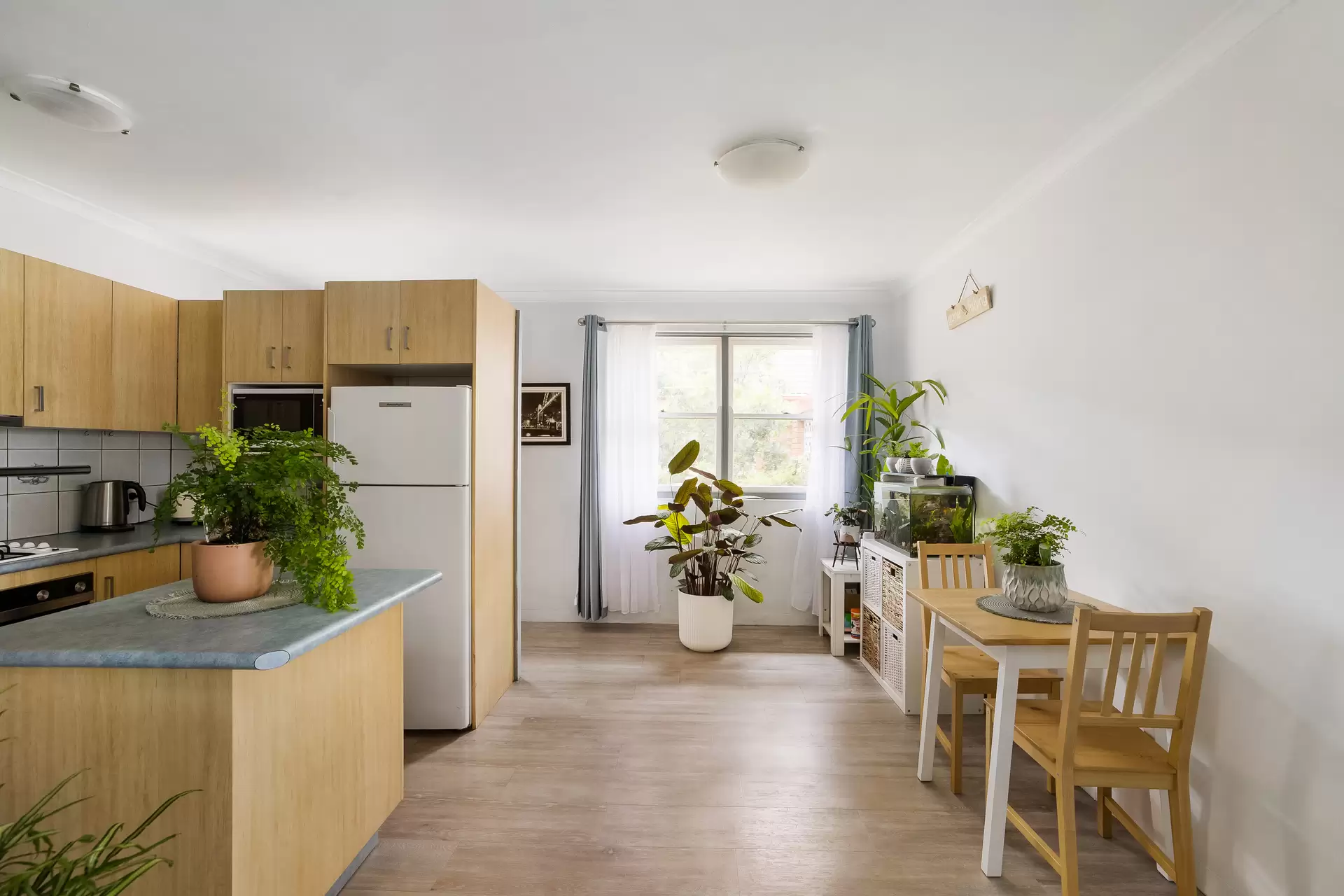 29/117 Denison Road, Dulwich Hill - Thumbnail 4