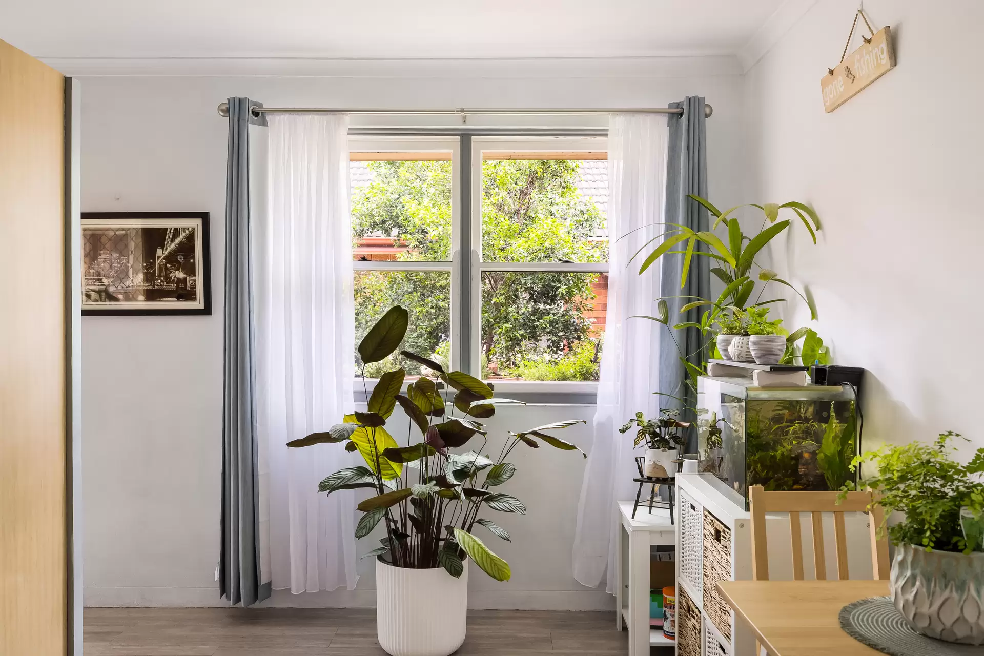 29/117 Denison Road, Dulwich Hill - Thumbnail 7