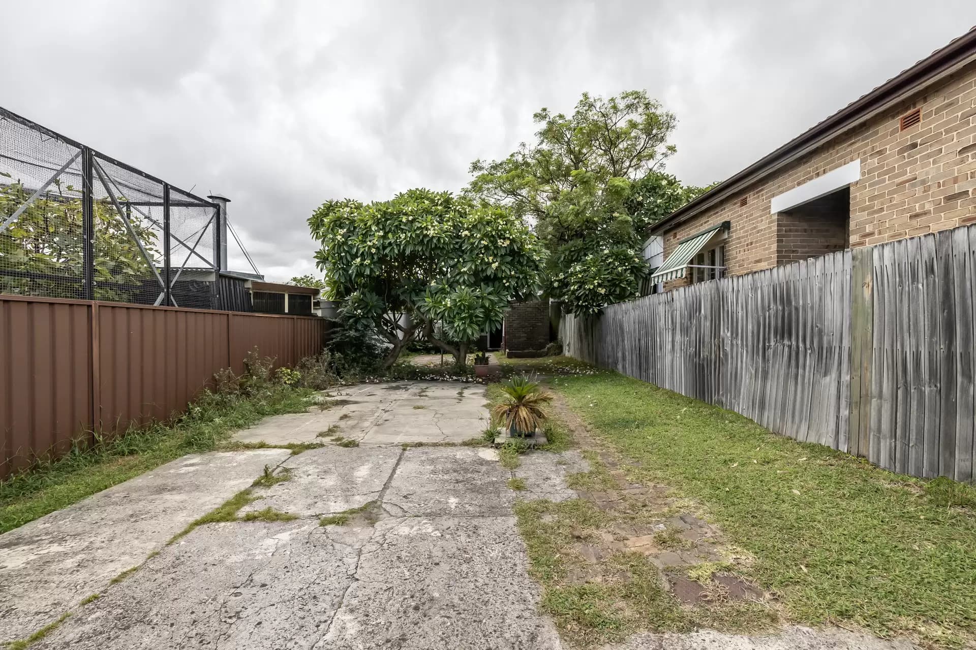 36 Gannon Street, Tempe - Thumbnail 5