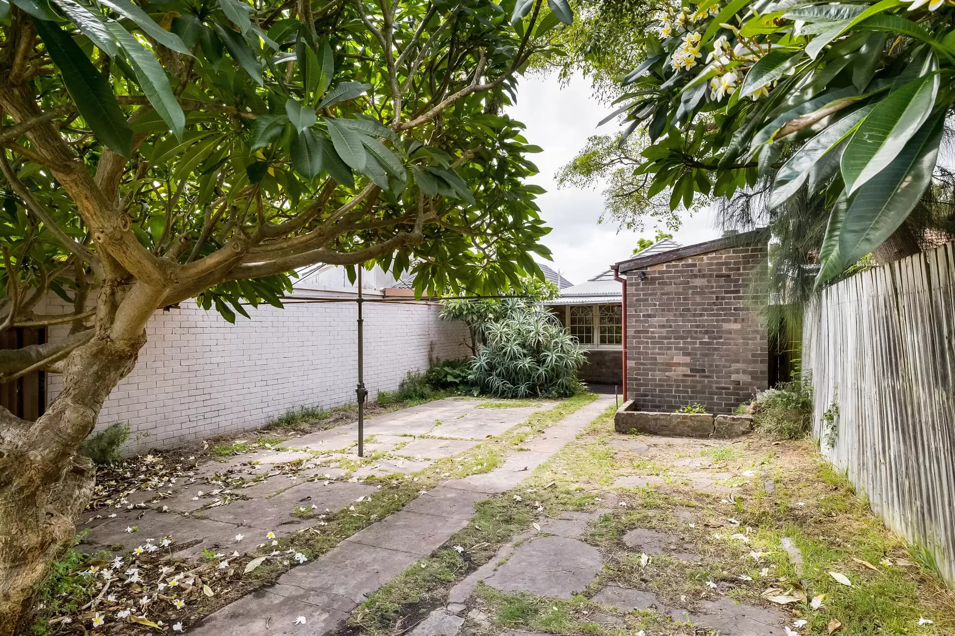 36 Gannon Street, Tempe - Thumbnail 6