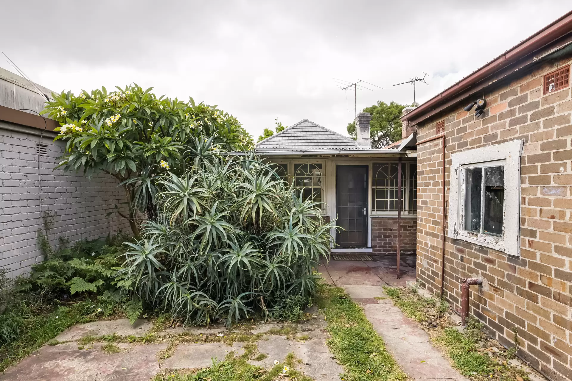 36 Gannon Street, Tempe - Thumbnail 7