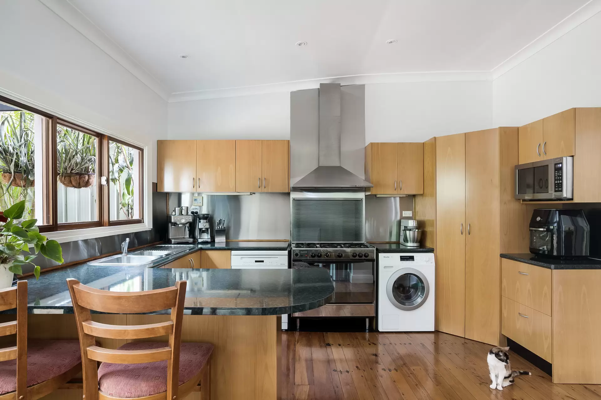 499 Illawarra Road, Marrickville - Thumbnail 6