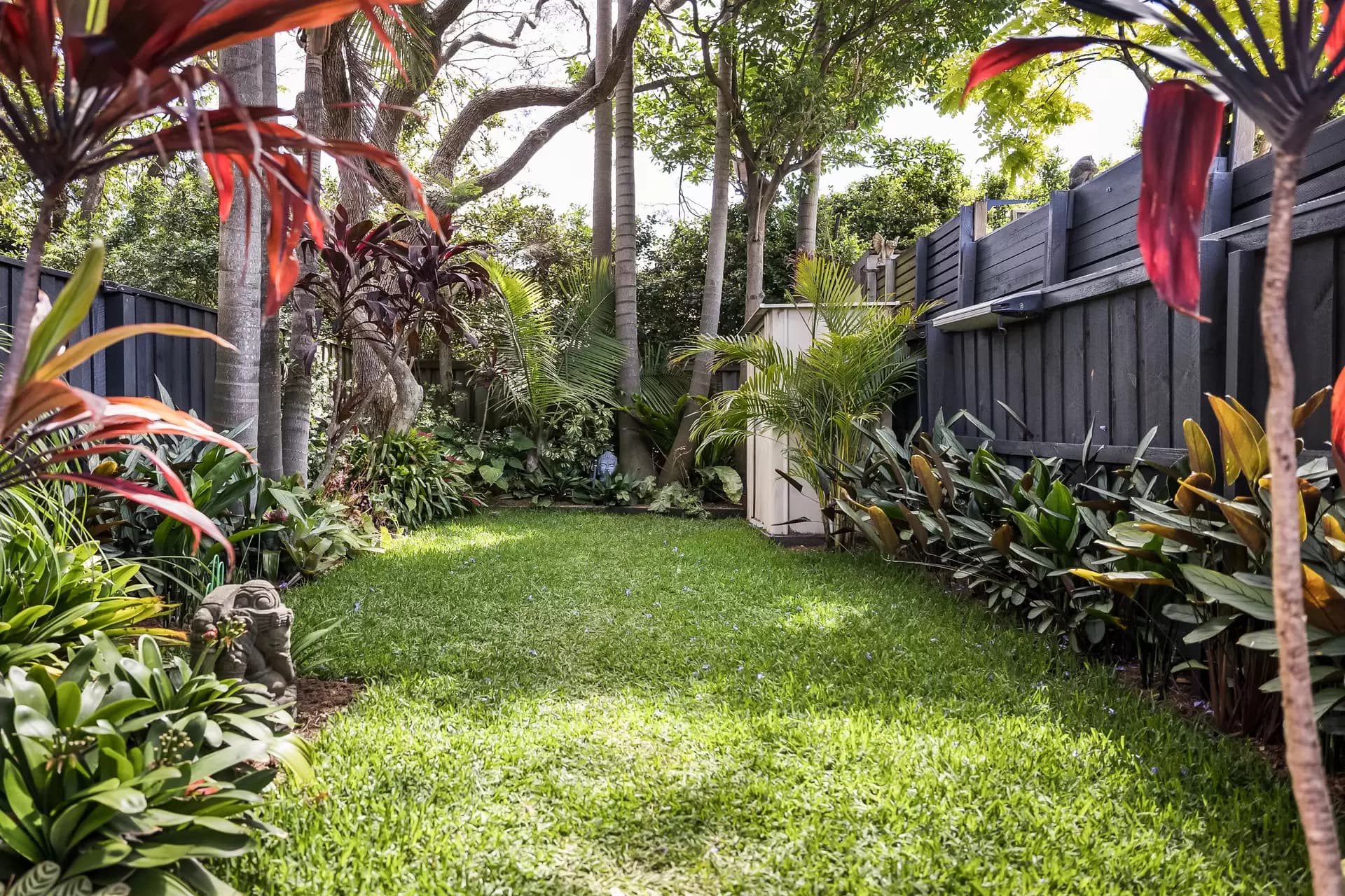 30A North Street, Leichhardt - Thumbnail 4