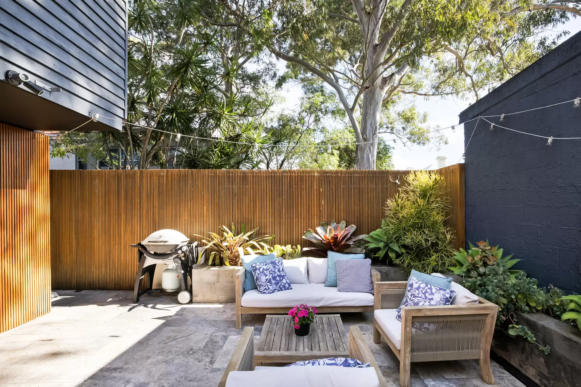24 Denning Street, Petersham - Thumbnail 4