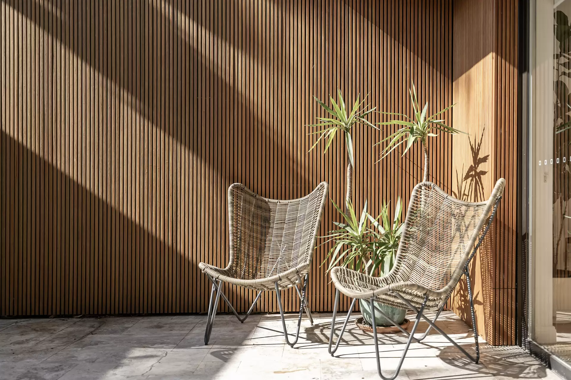 24 Denning Street, Petersham - Thumbnail 7