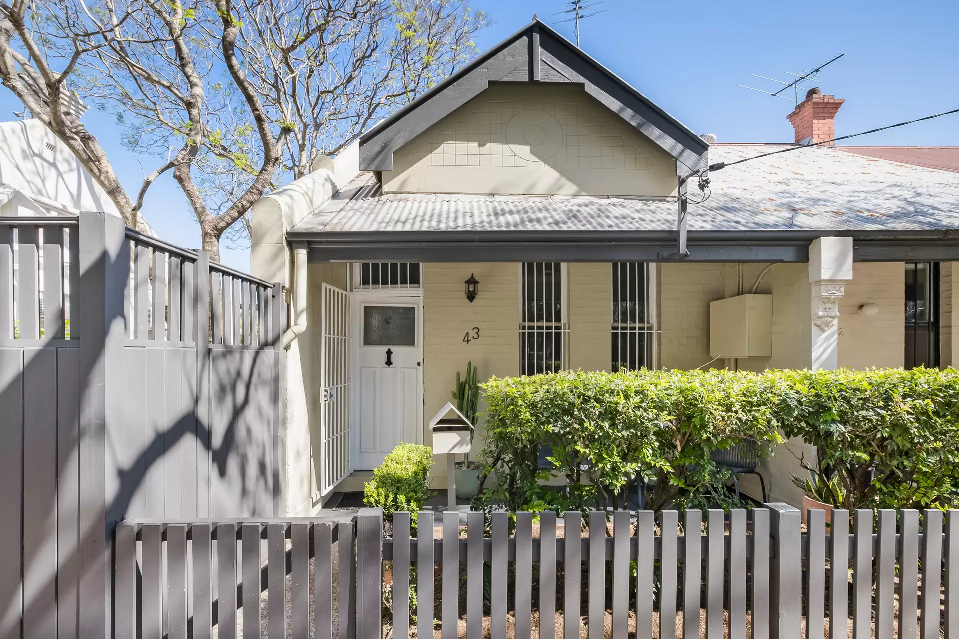 43 Ashmore Street, Erskineville - Image 1