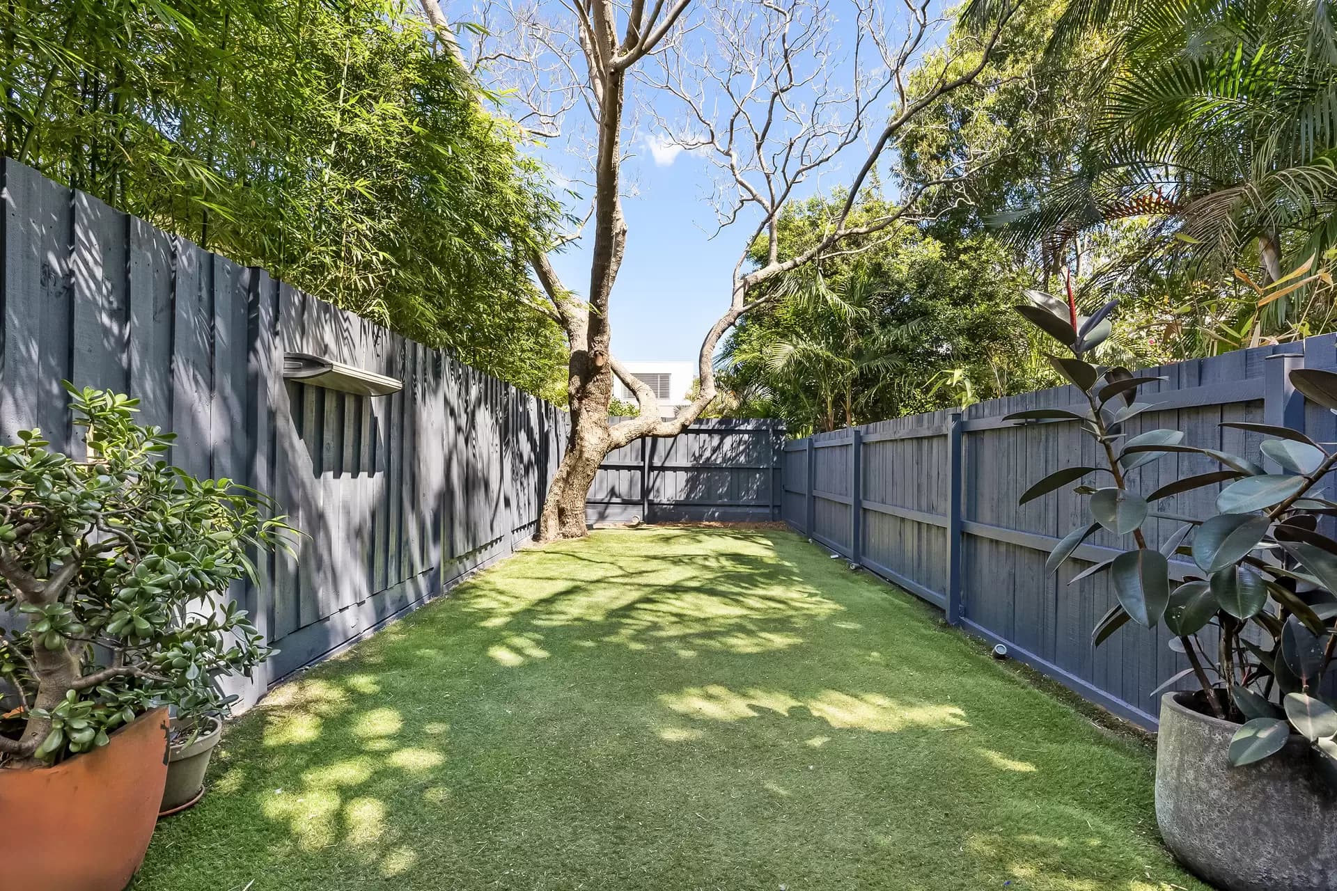 90 Carlisle Street, Leichhardt - Thumbnail 6