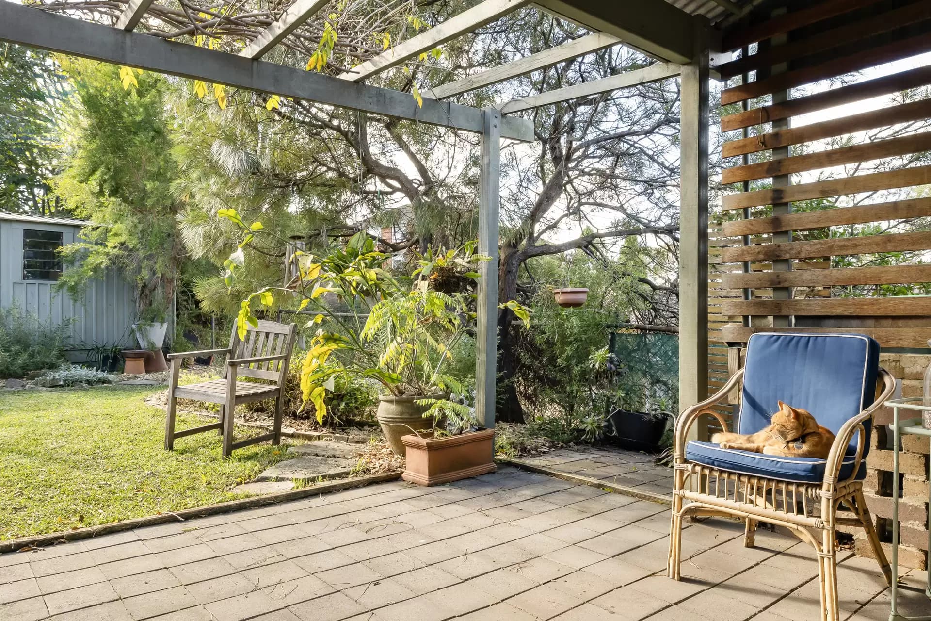 2 Starkey Street, Hurlstone Park - Thumbnail 7