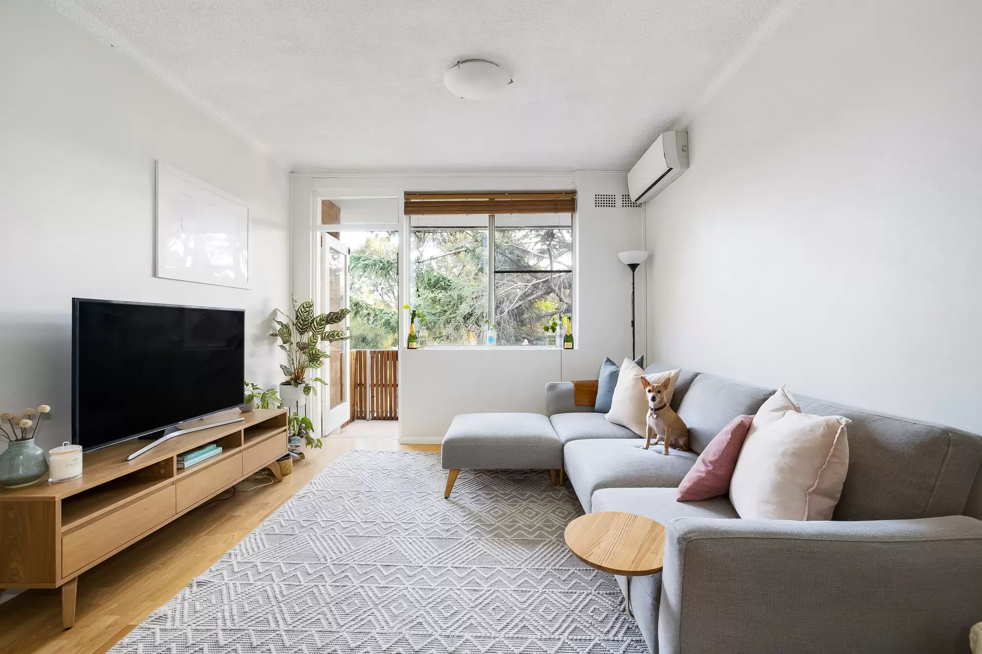 52/44-50 Ewart Street, Marrickville - Image 1