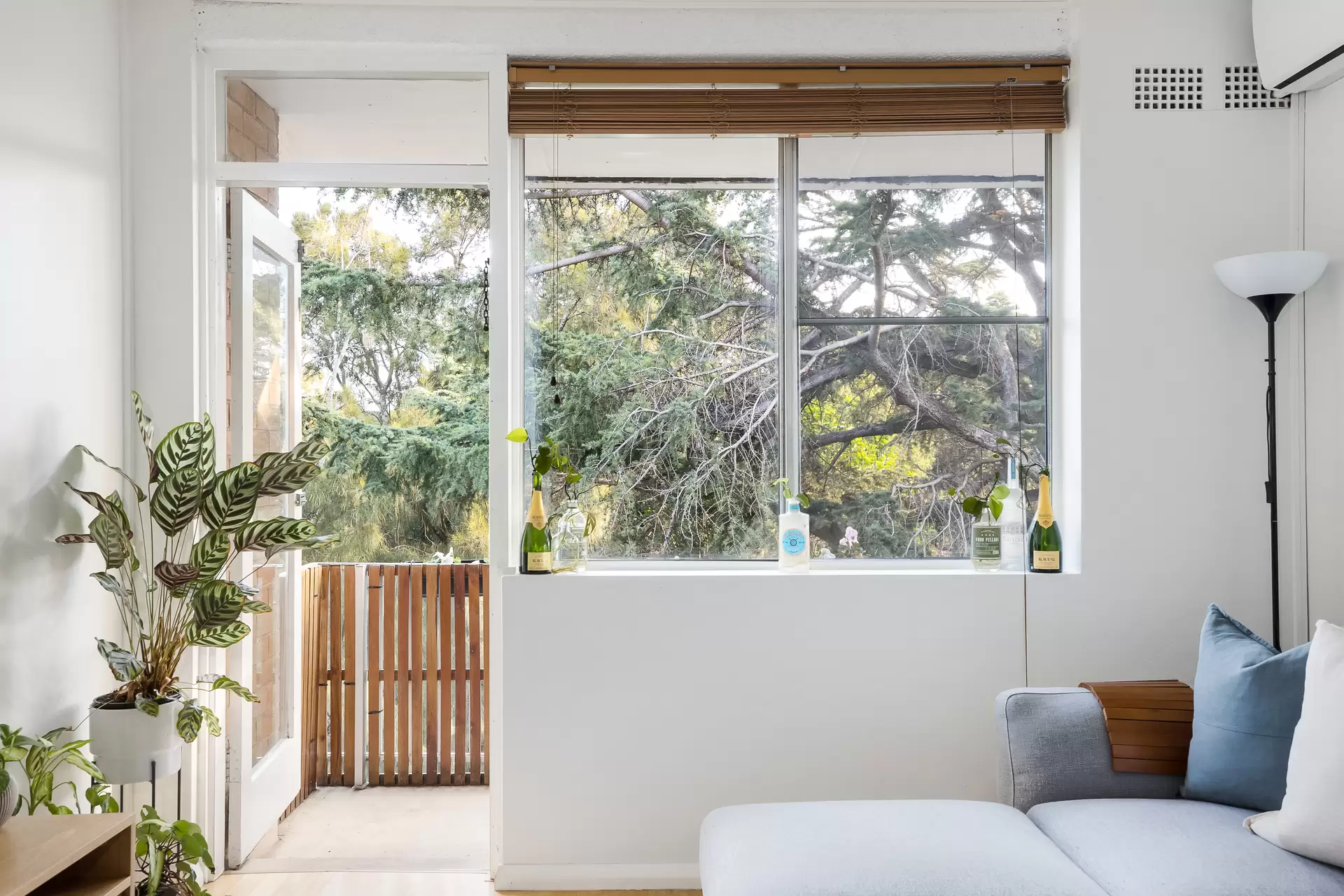 52/44-50 Ewart Street, Marrickville - Thumbnail 5