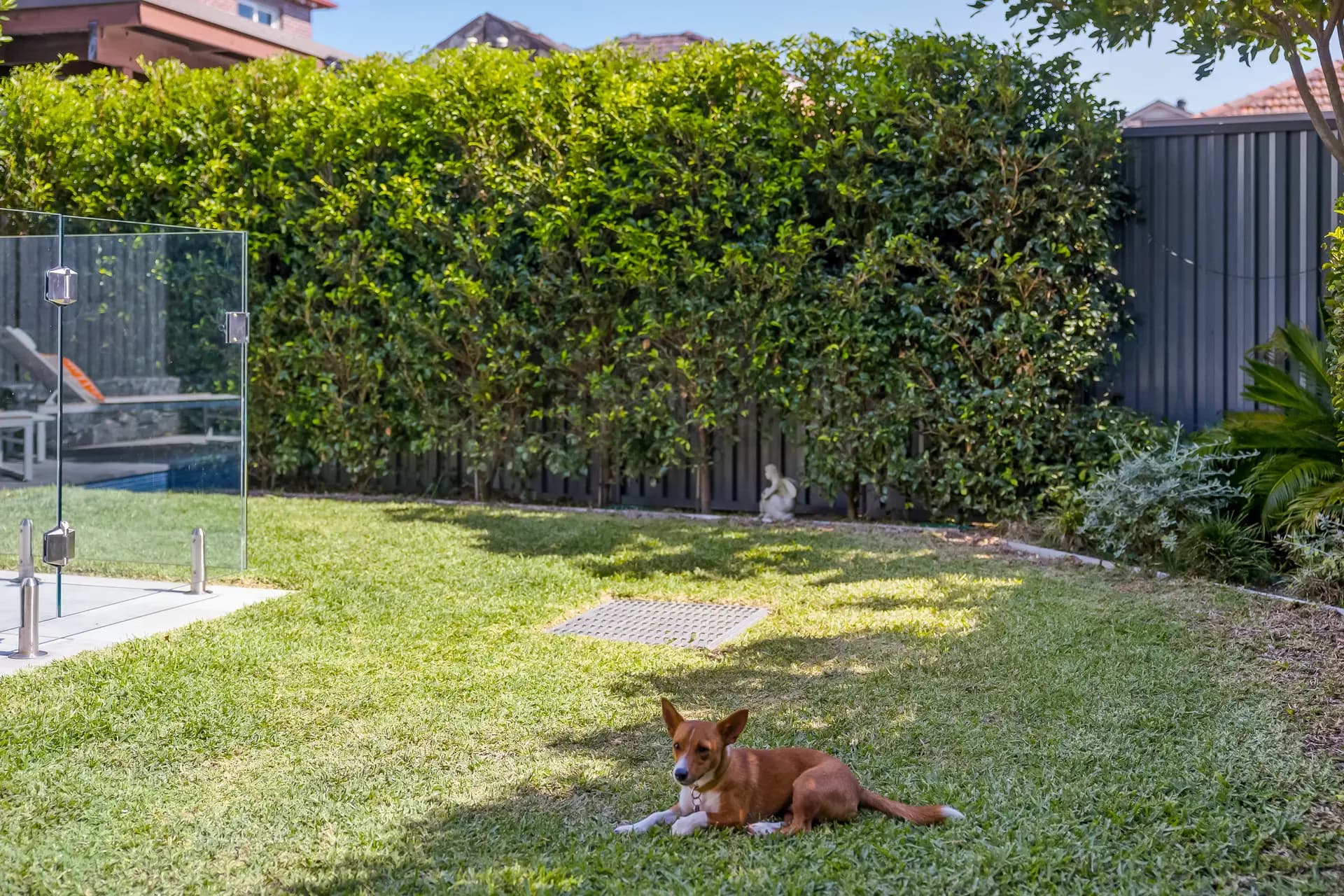 12A Doris Avenue, Earlwood - Thumbnail 8