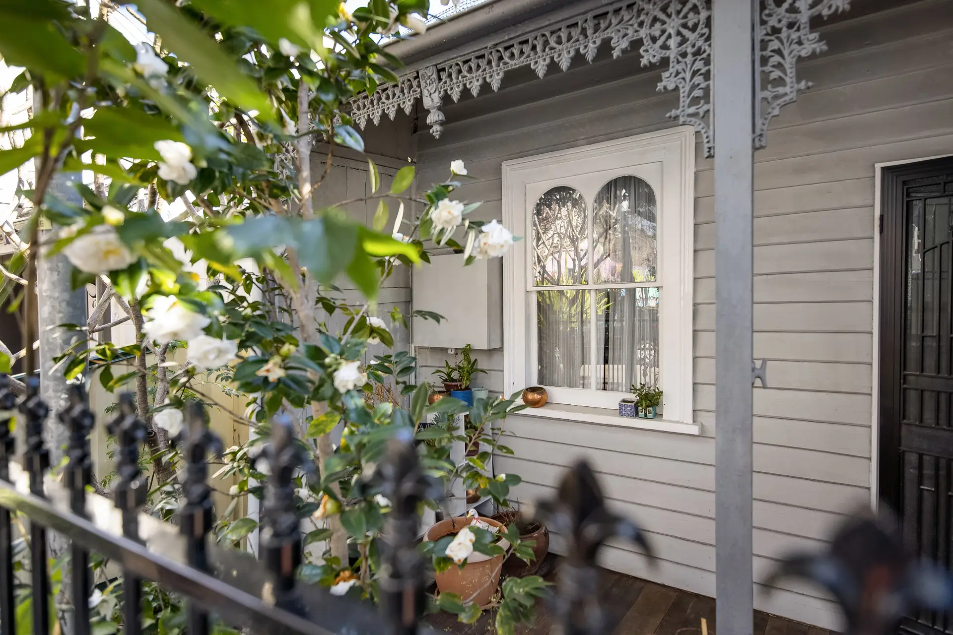 45 Pearl Street, Newtown - Thumbnail 2