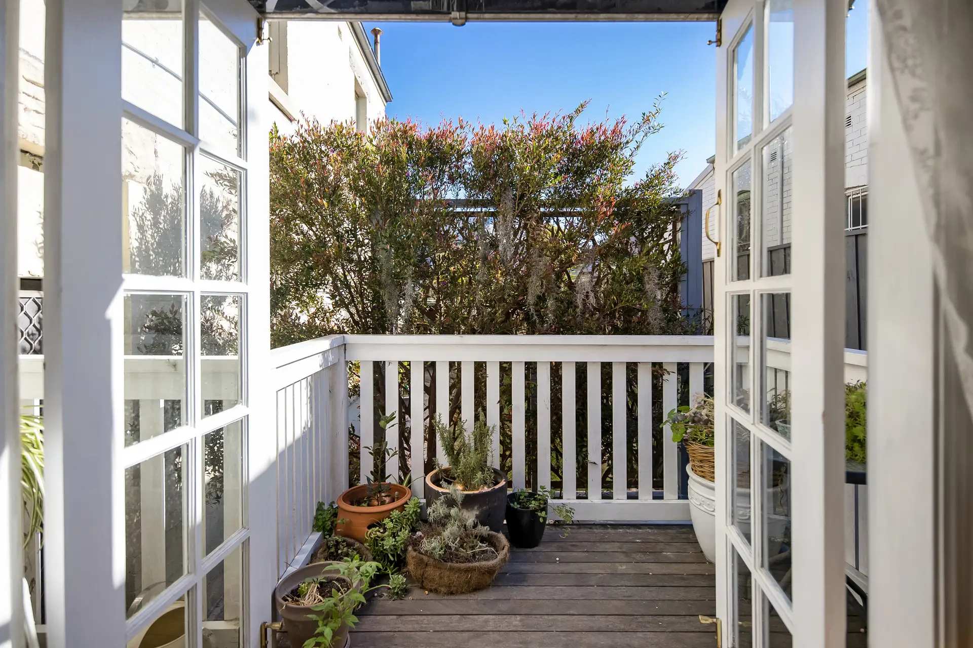 45 Pearl Street, Newtown - Thumbnail 7