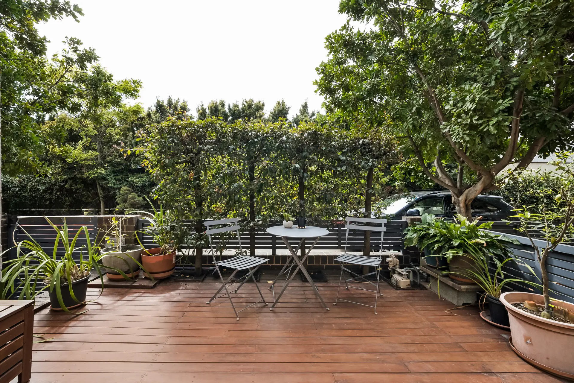 76 Alfred Street, St Peters - Thumbnail 4