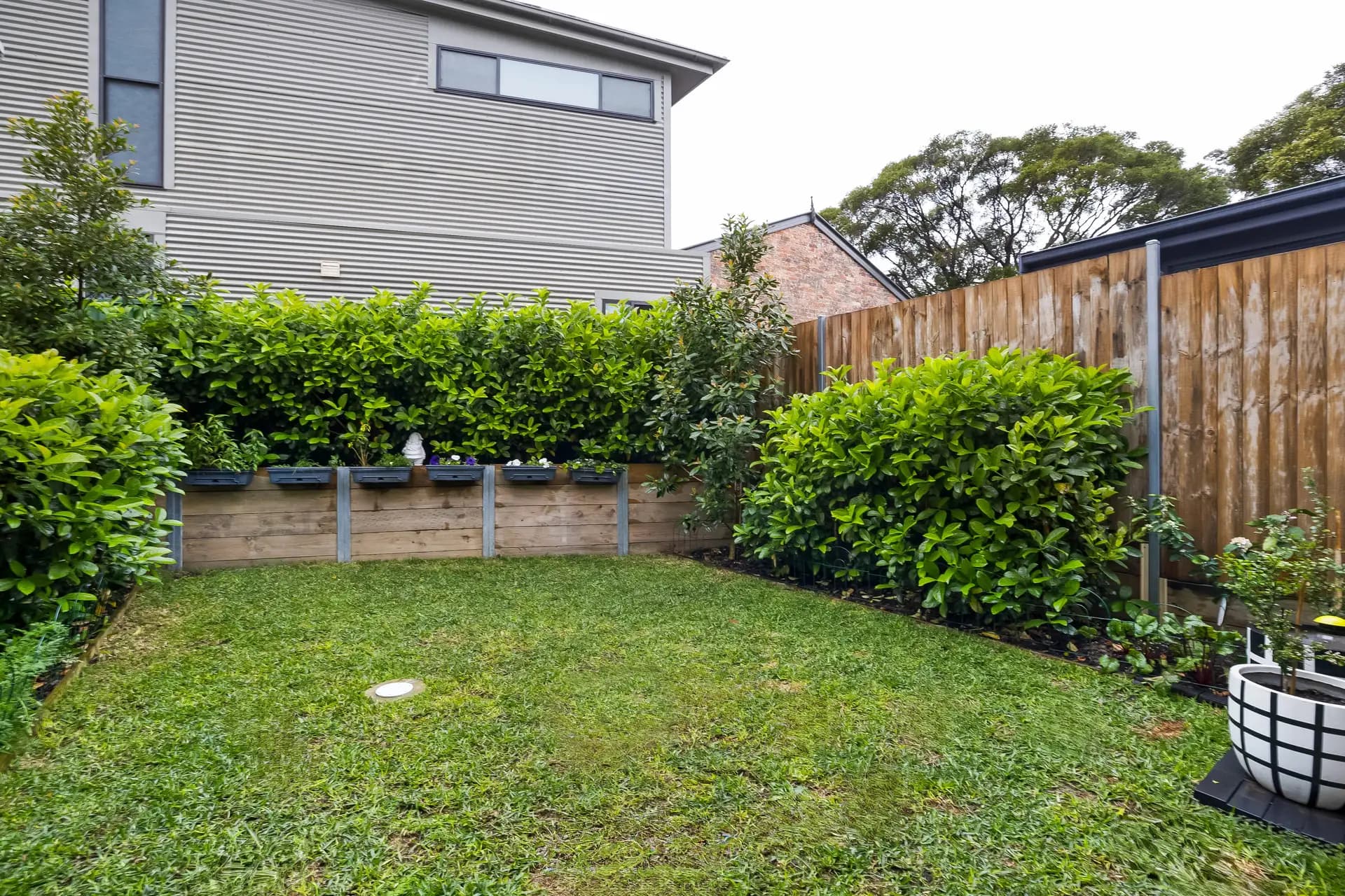199 Sydenham Road, Marrickville - Thumbnail 8