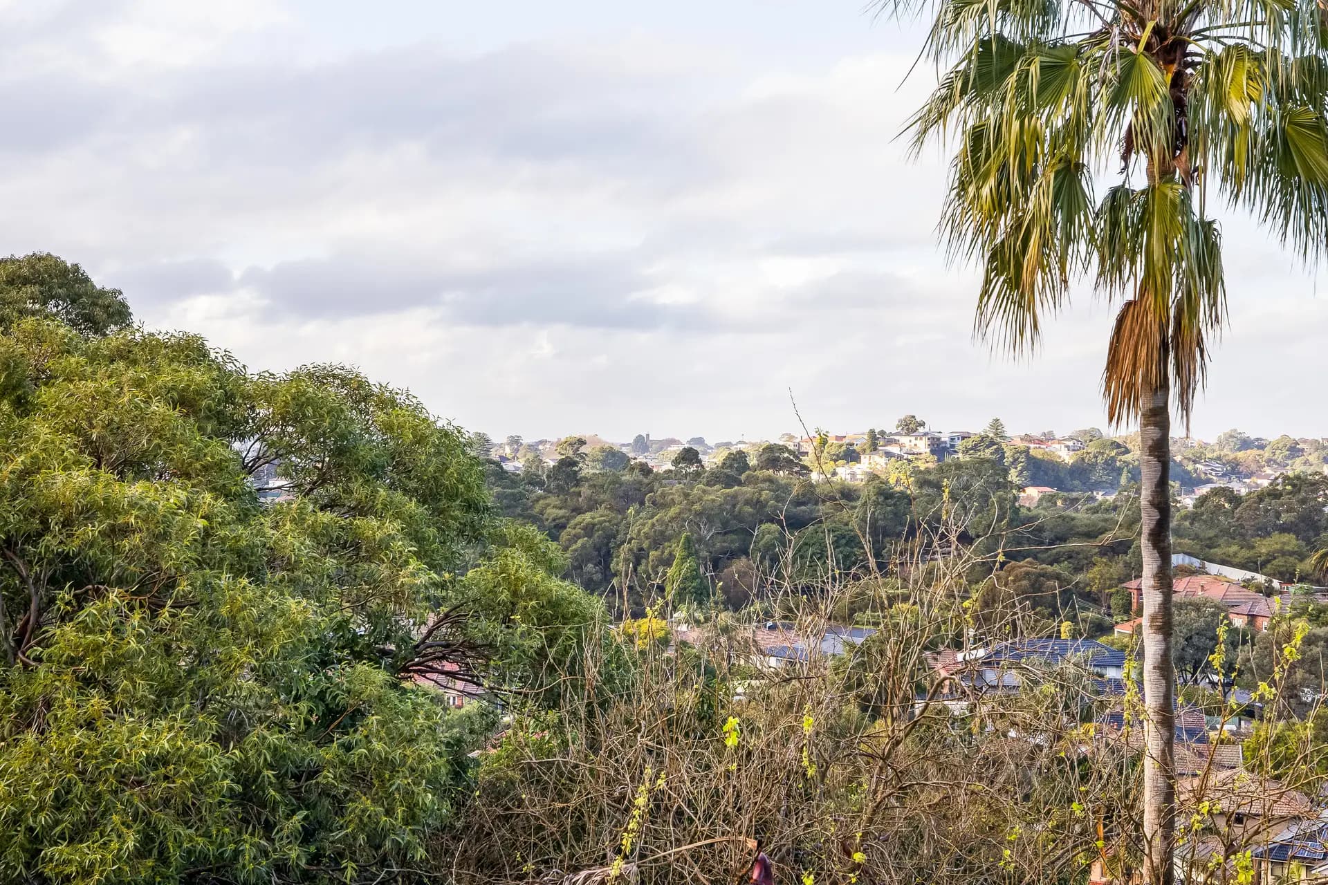 24/156-158 Homer Street, Earlwood - Thumbnail 4