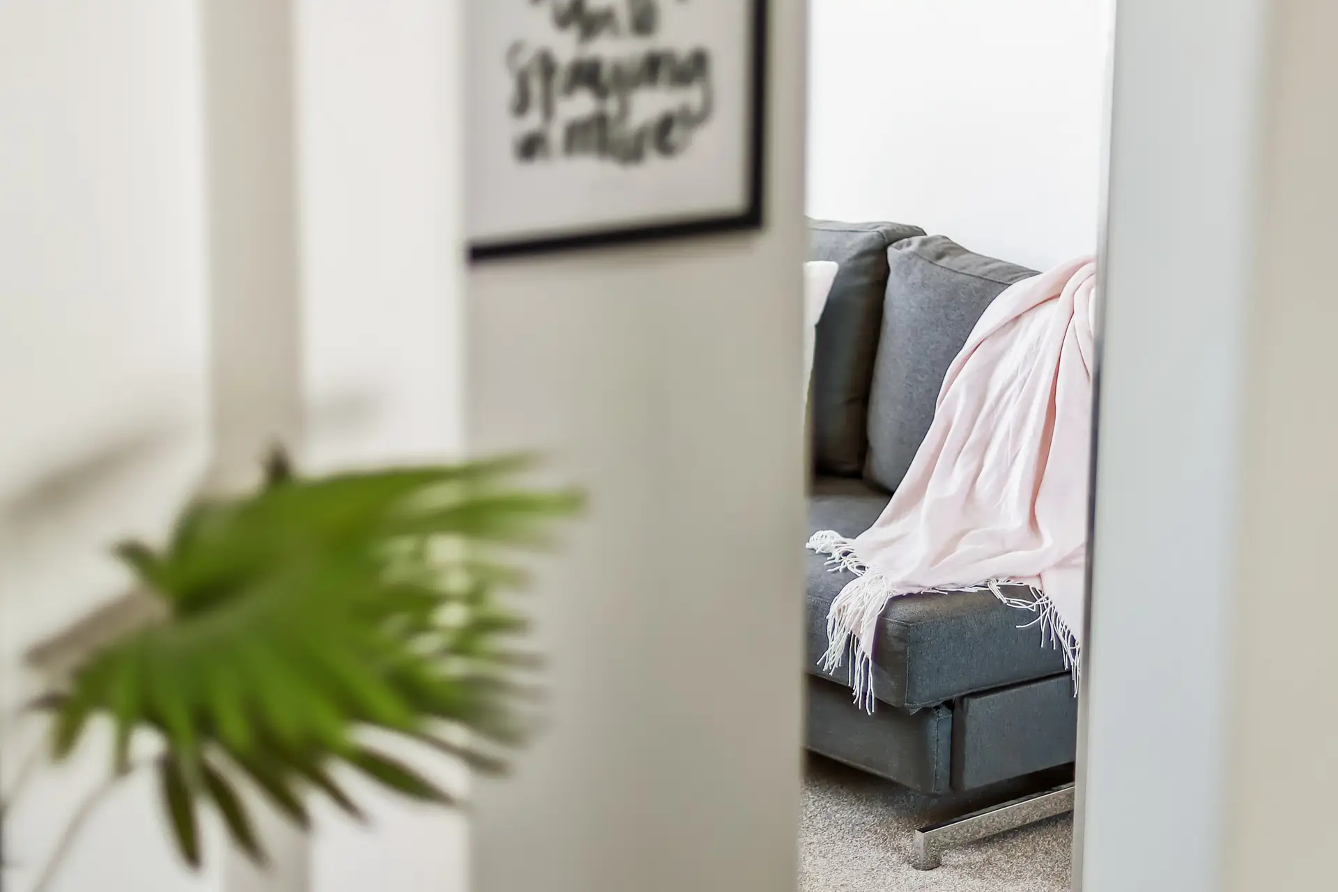 8/28 Canonbury Grove, Dulwich Hill - Thumbnail 6
