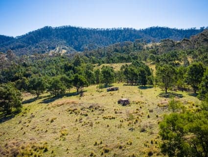 Lot 1 DP 26381 560 New Buildings Road, Wyndham - Thumbnail 7