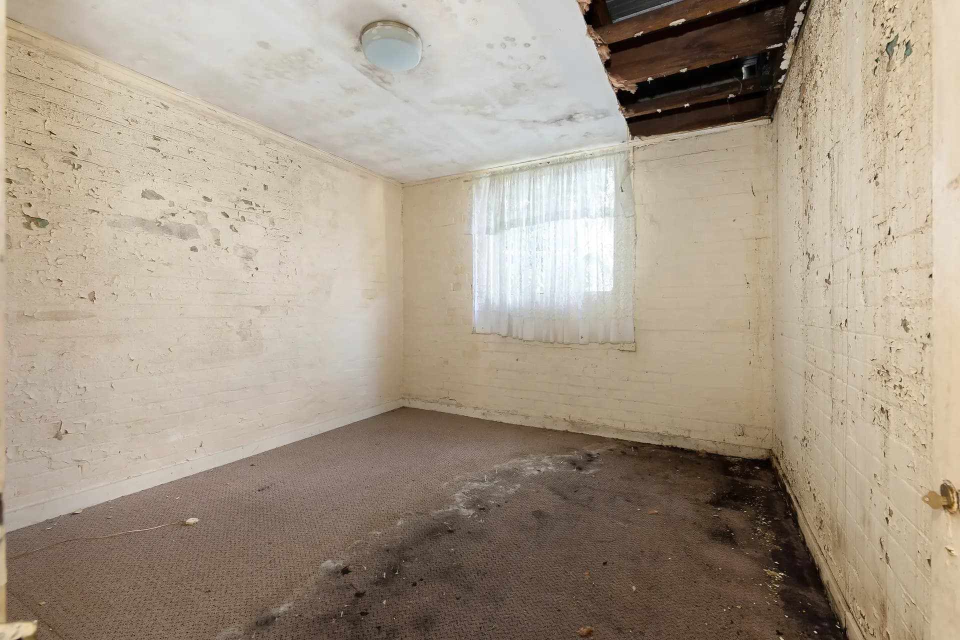 5 Hampden Street, Hurlstone Park - Thumbnail 3