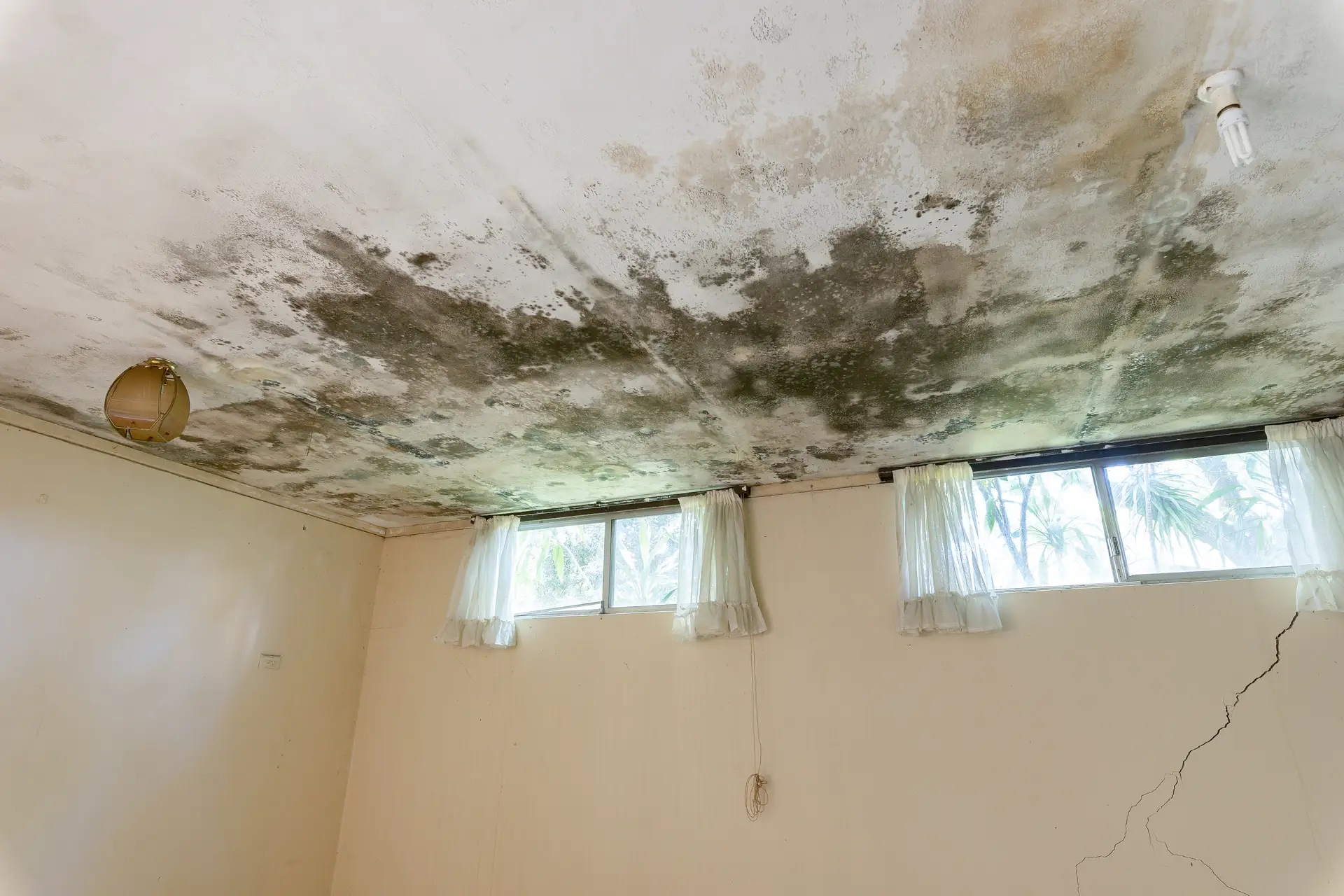 5 Hampden Street, Hurlstone Park - Thumbnail 6