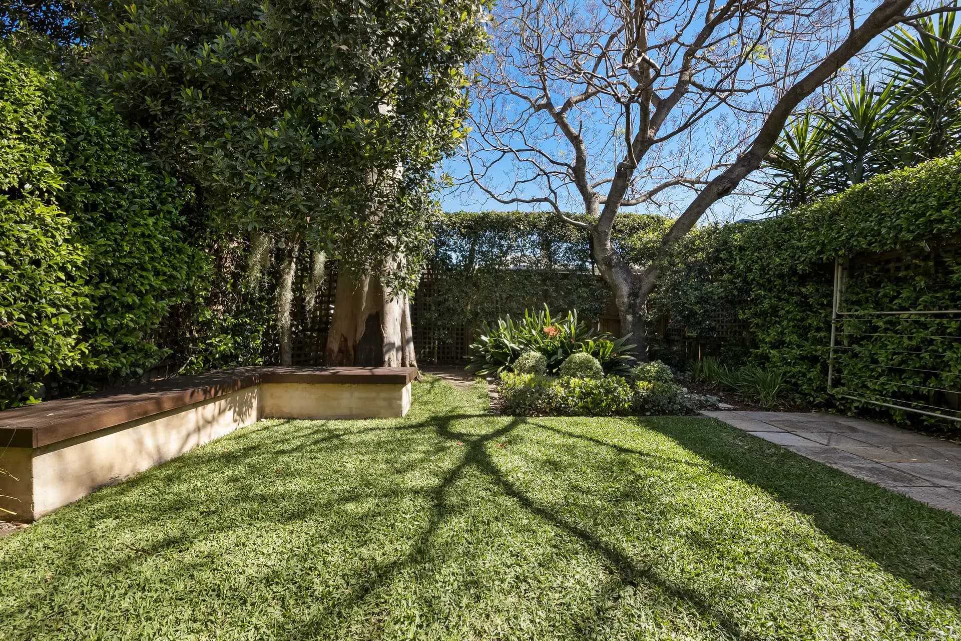 35 Pigott Street, Dulwich Hill - Thumbnail 4