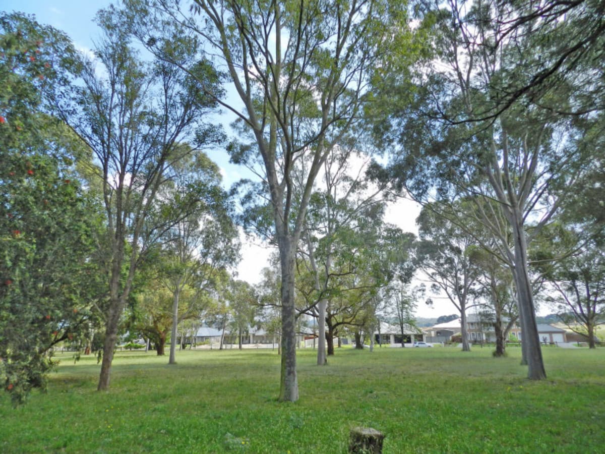80 Hall Street, PITT TOWN, NSW, Pitt Town - Thumbnail 3