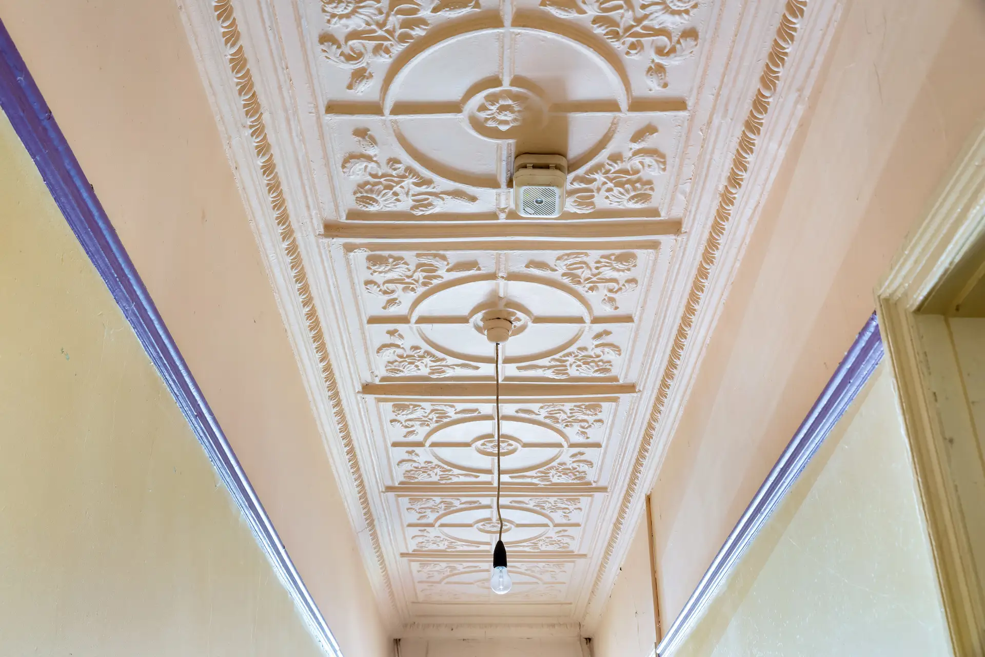 6 Wemyss Street, Enmore - Thumbnail 4