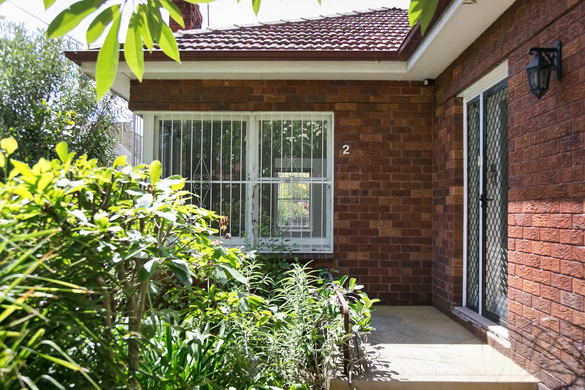 2 Harney Street, Marrickville - Thumbnail 2