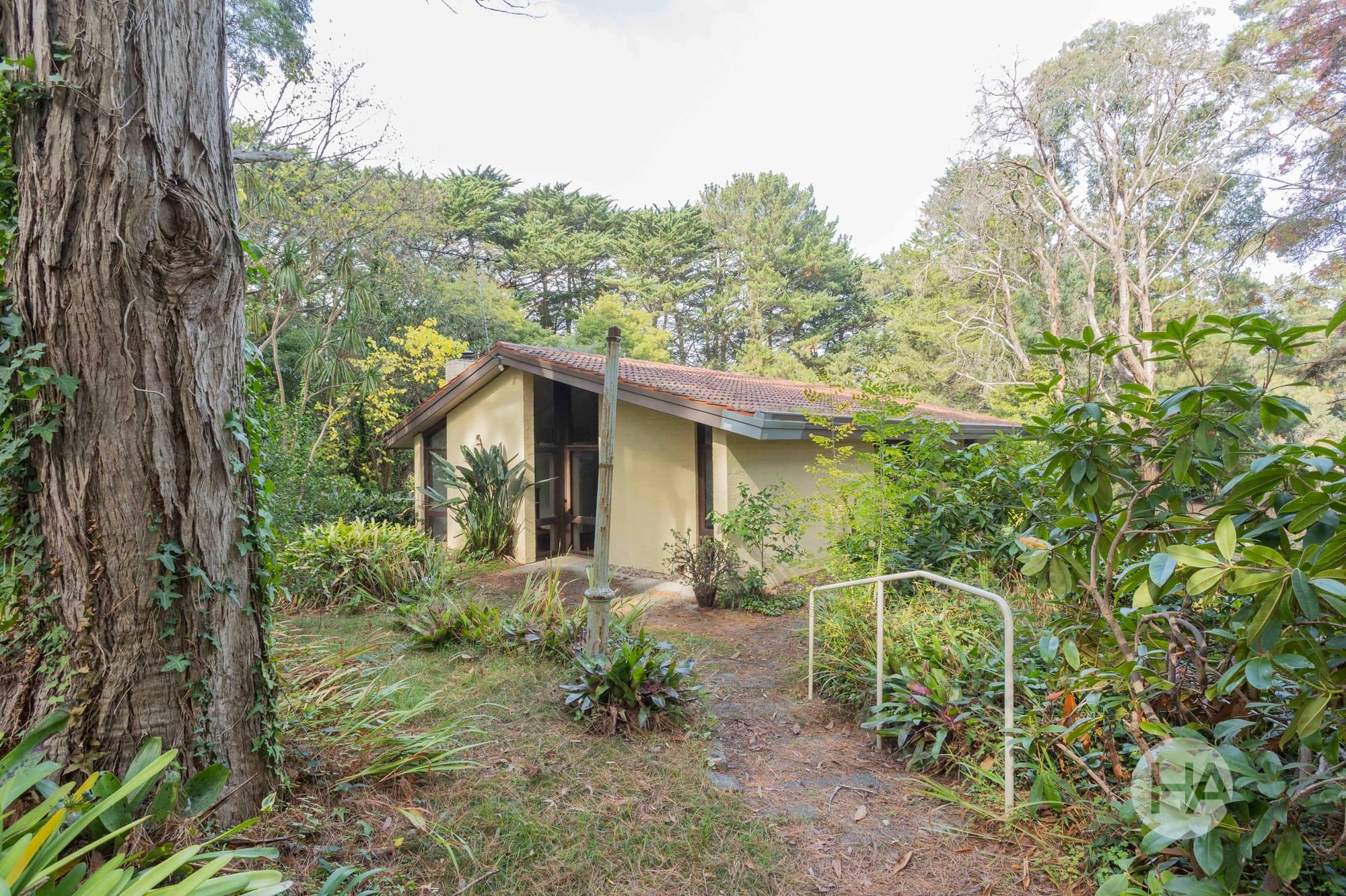194 Point Leo Road, RED HILL SOUTH, Red Hill South - Thumbnail 2