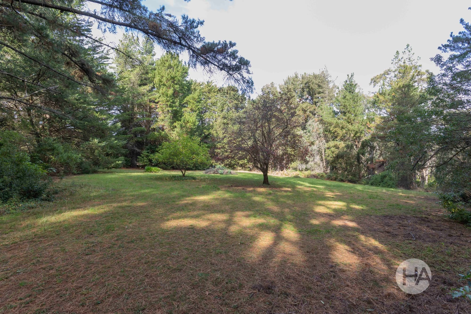 194 Point Leo Road, RED HILL SOUTH, Red Hill South - Thumbnail 8